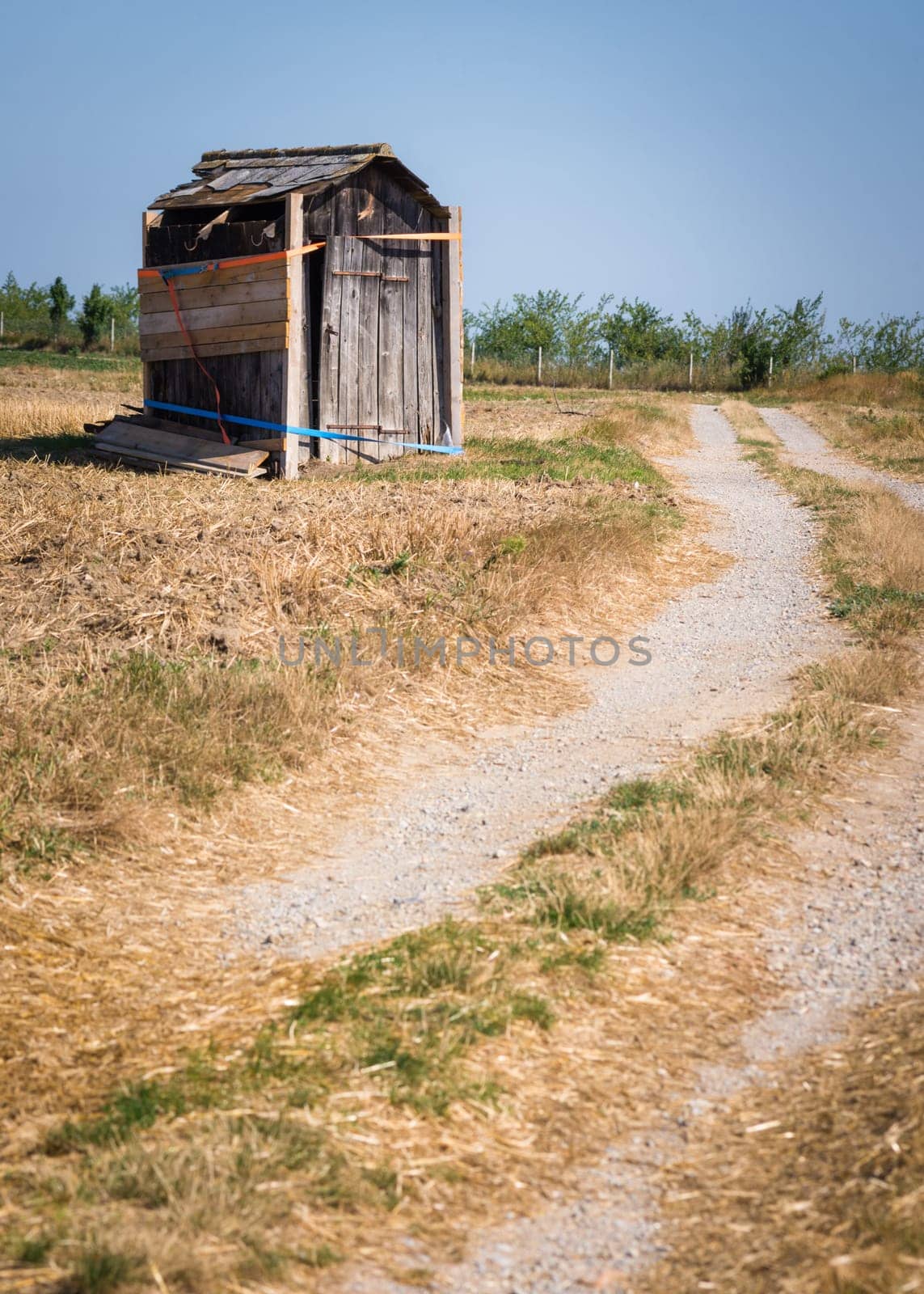 Wood destroyed hut leaning in the meadow