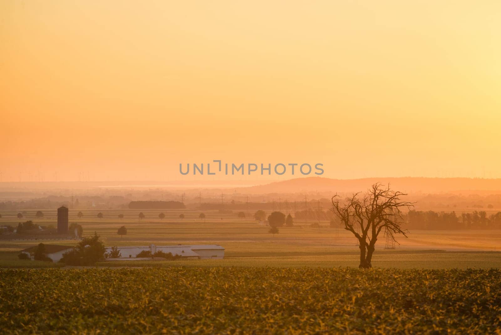 Rural misty meadow at sunrise with an orange glow. Relaxing natural landscape at dawn with bare autumn trees