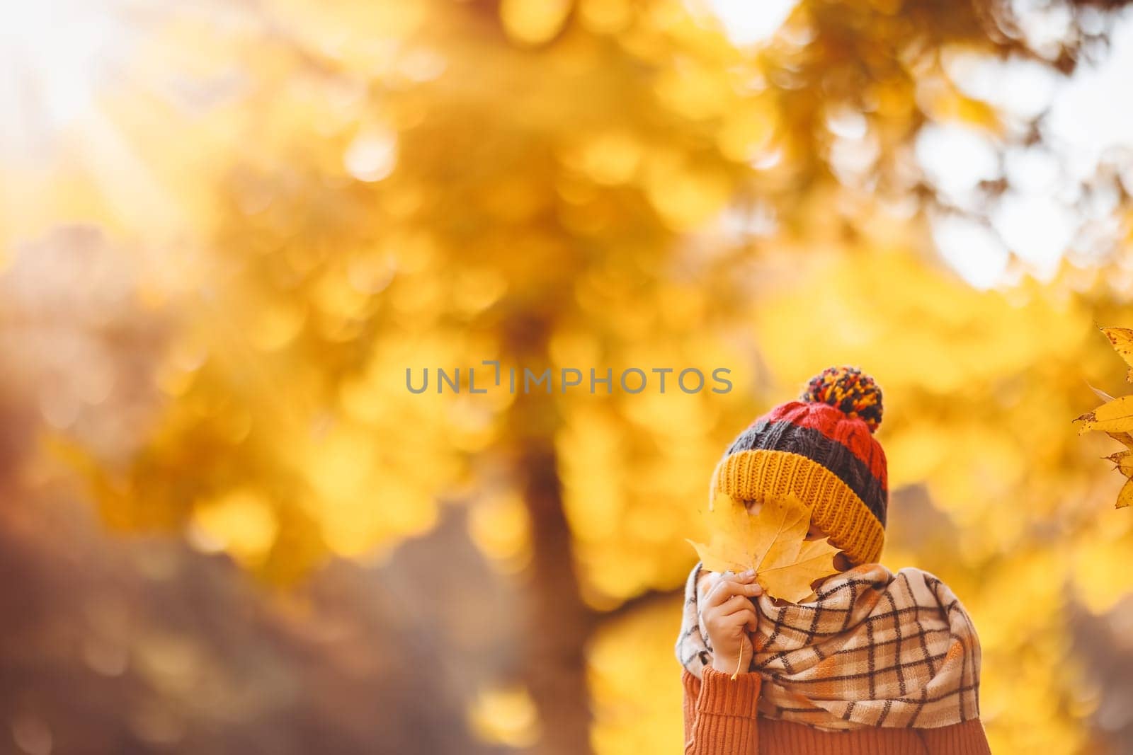Happy child hiding his eyes behind the maple leaves. Beautiful view of the autumnal background.