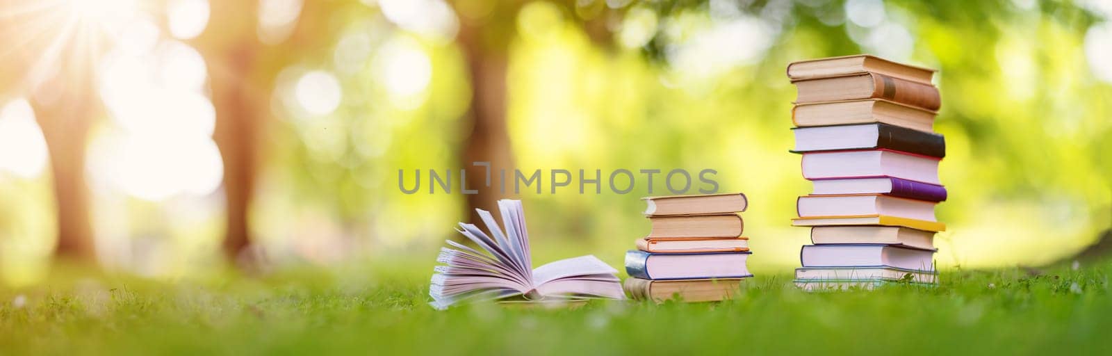 Stacks of the different books are on the green grass in the park. Concept of the learning, reading, studying and back to school.