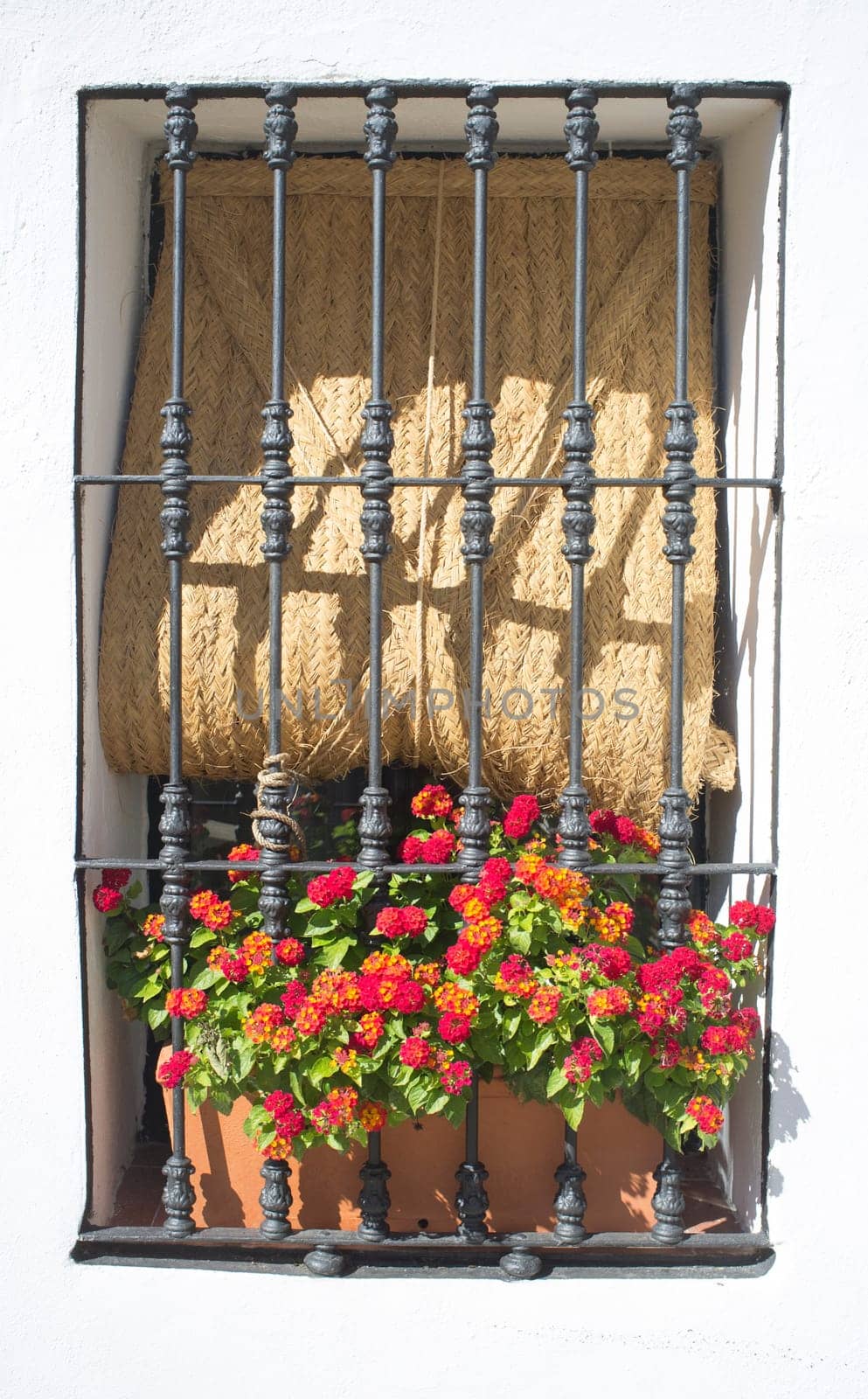Nun Corner Square, Caceres, Extremadura, Spain. Window full of flowers and esparto blinds