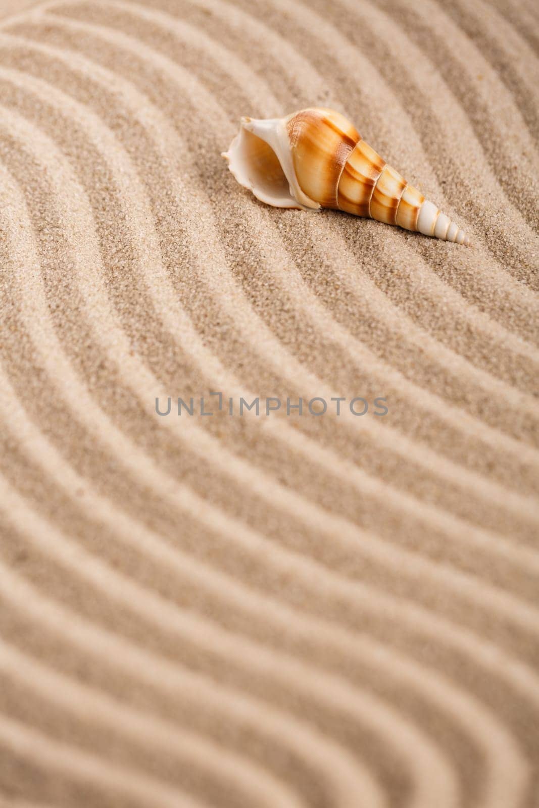 Yellow sand beach. Tropical seaside concept. Beautiful seashell on beach. Exotic island vacation. Banner template with place for text. Top view.