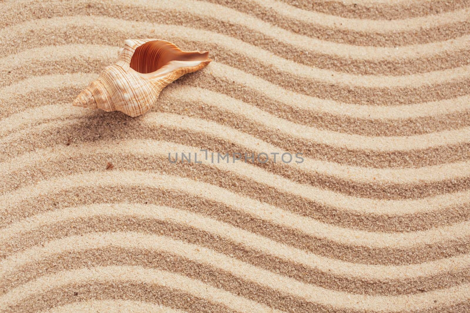Yellow sand beach. Tropical seaside concept. Beautiful seashell on beach. Exotic island vacation. Banner template with place for text. Top view.