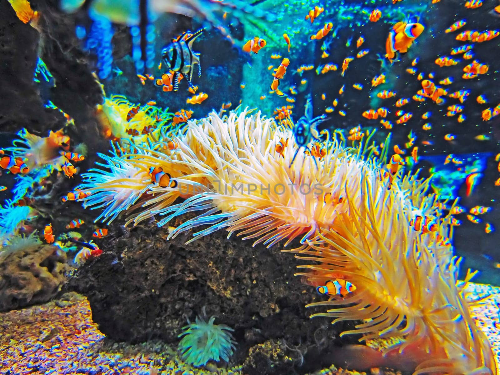 Oceanographic Museum of Monaco