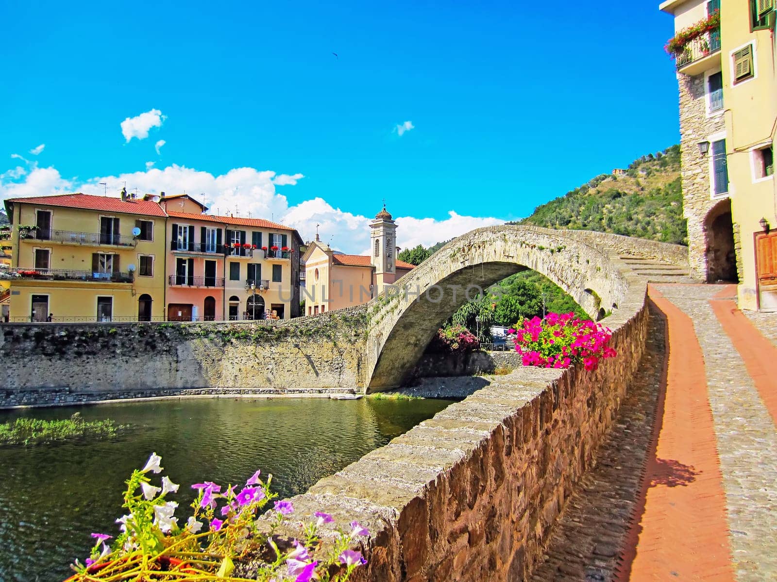 The  Bridge of Dolceacqua, Italy
