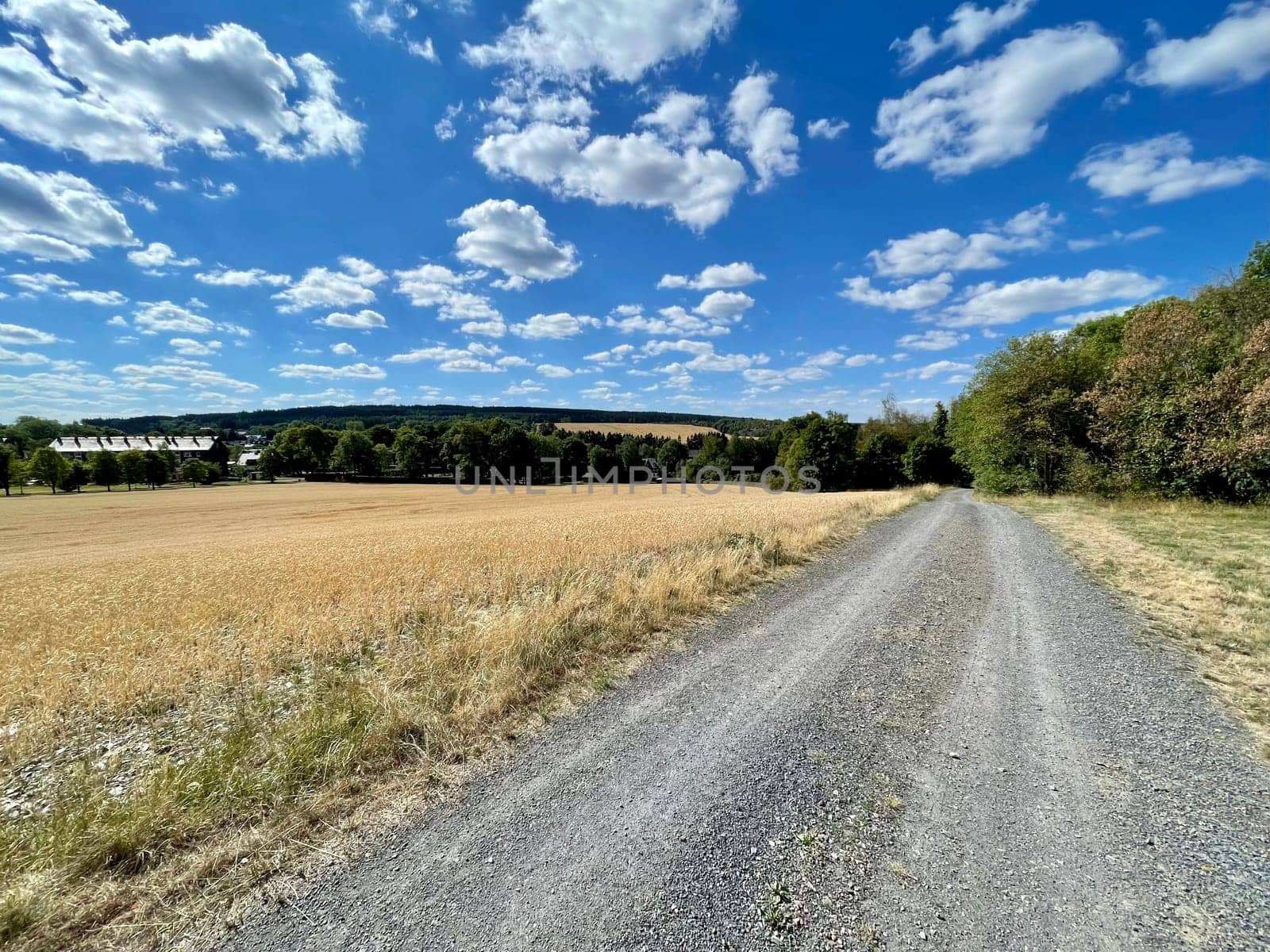 Landschaft