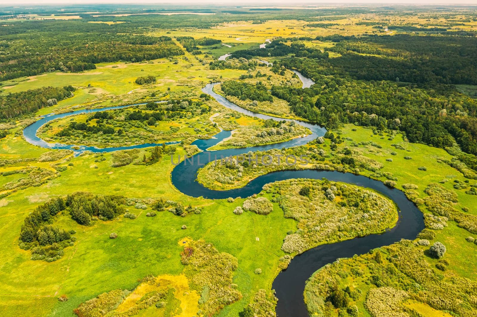 Aerial View Green Forest Woods And River Landscape In Sunny Spring Summer Day. Top View Of Beautiful European Nature From High Attitude In Autumn Season. Drone View. Bird's Eye View.