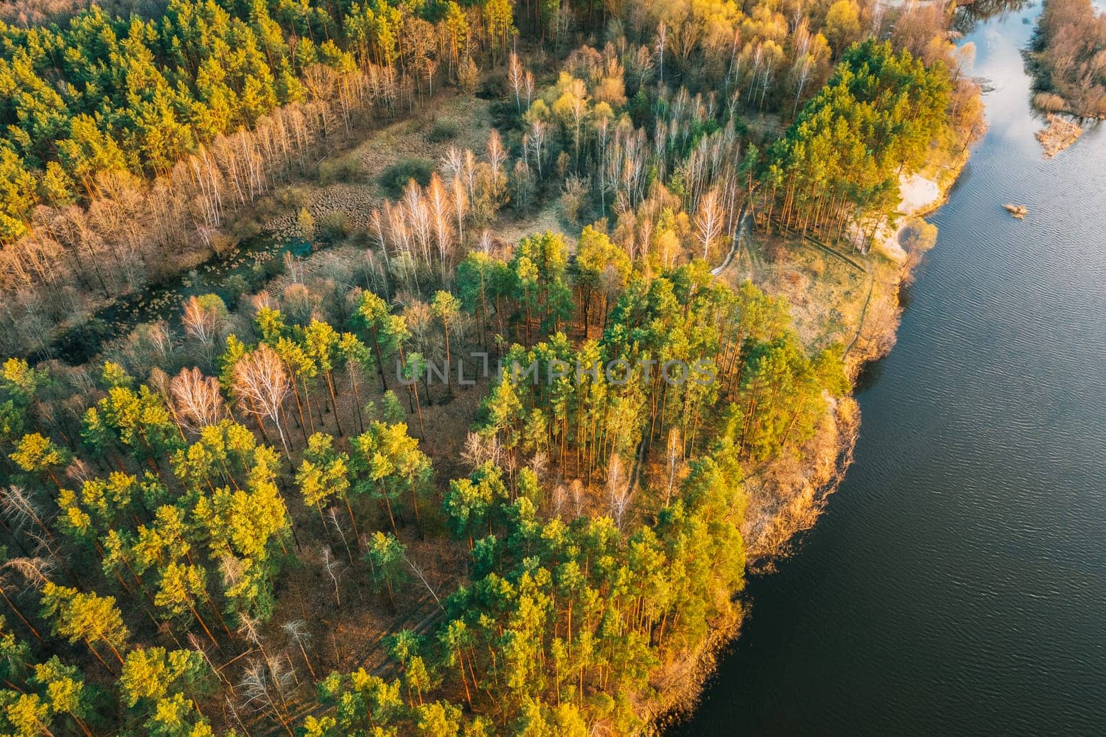 Aerial View Of Mixed Forest And River Landscape. Top View Of Beautiful European Nature From High Attitude In Early Spring Season. Drone View. Bird's Eye View.