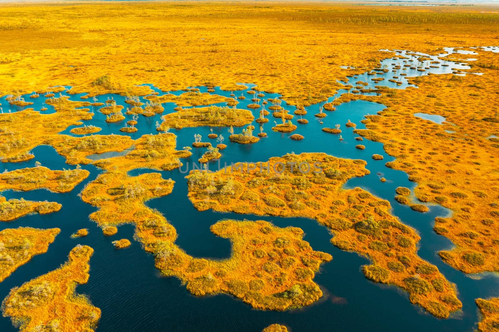 Miory District, Vitebsk Region, Belarus. The Yelnya Swamp. Upland And Transitional Bogs With Numerous Lakes. Elevated Aerial View Of Yelnya Nature Reserve Landscape. Famous Natural Landmark.