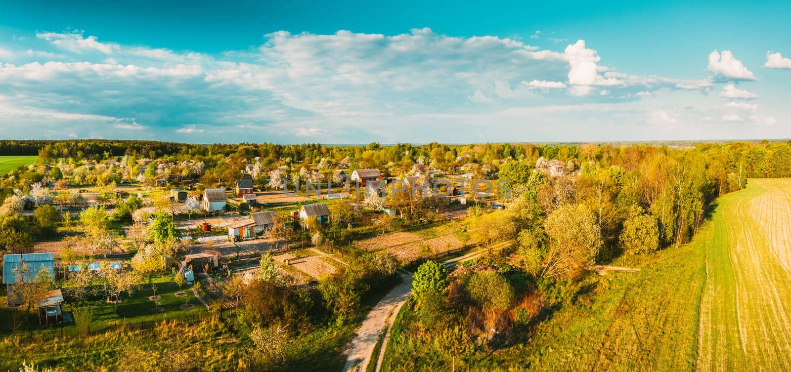 Countryside Rural Landscape With Small Village, Gardens And Green Field In Spring Summer Day. Elevated View. Panorama.