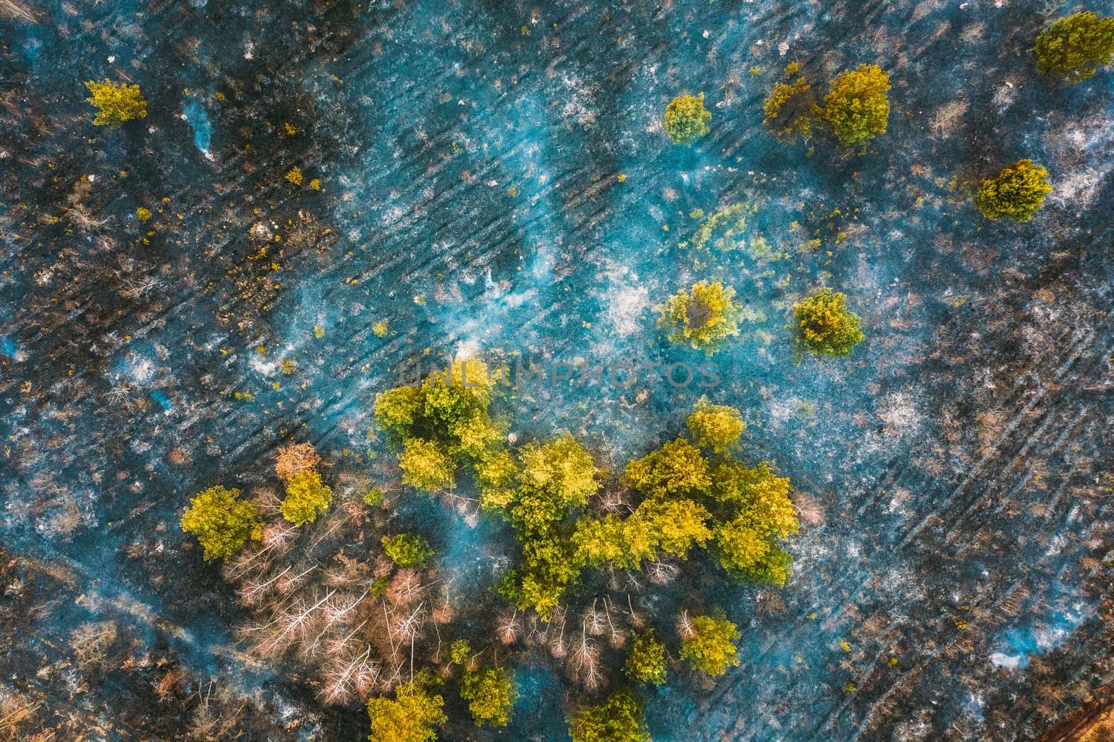 Aerial View. Spring Dry Grass Burns During Drought Hot Weather. Bush Fire And Smoke In Deforestation Zone. Wild Open Fire Destroys Grass. Nature In Danger. Ecological Problem Air Pollution.
