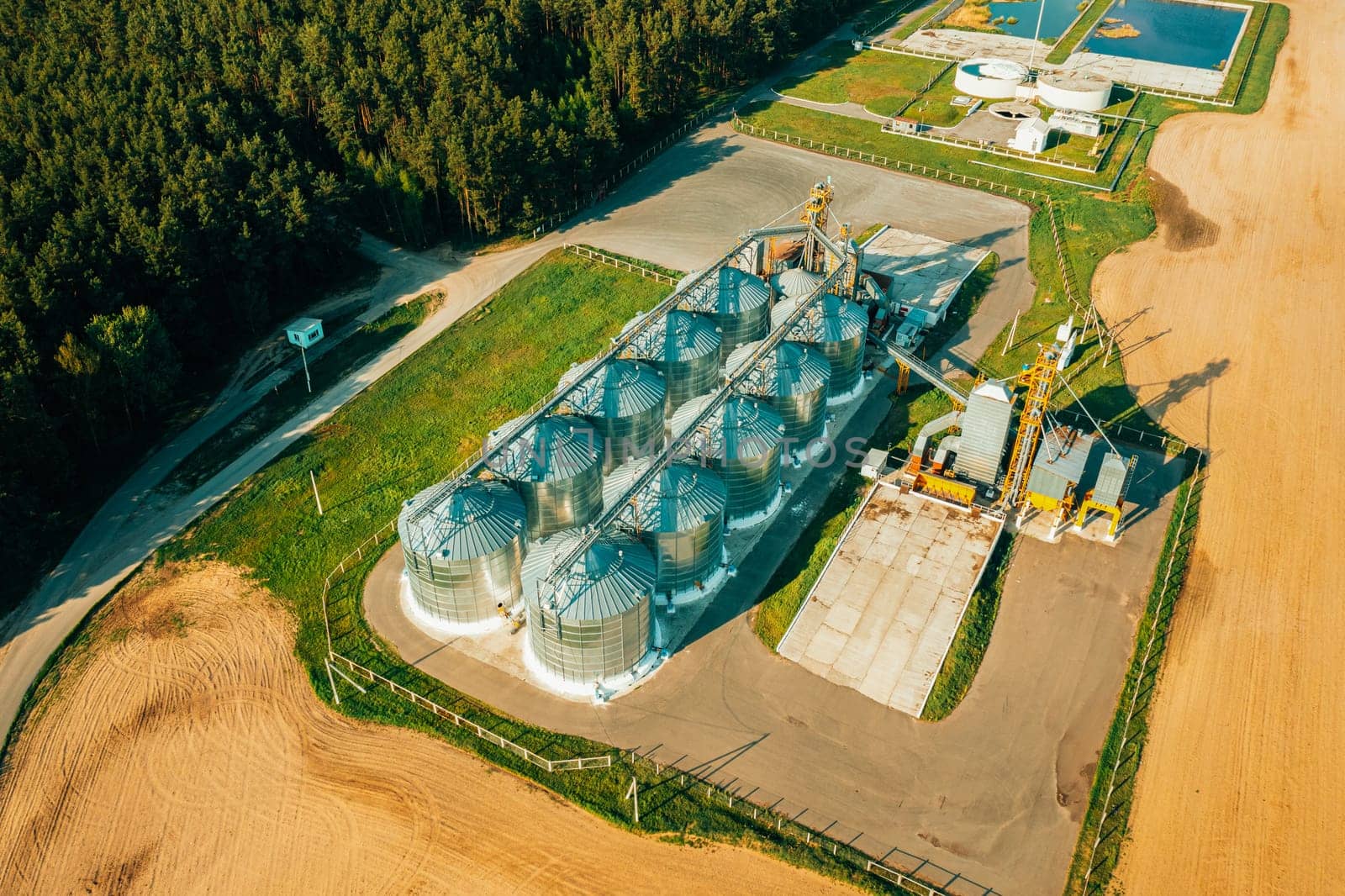 Aerial View Modern Granary, Grain-drying Complex, Commercial Grain Or Seed Silos In Sunny Spring Rural Landscape. Corn Dryer Silos, Inland Grain Terminal, Grain Elevators Standing In A Field.