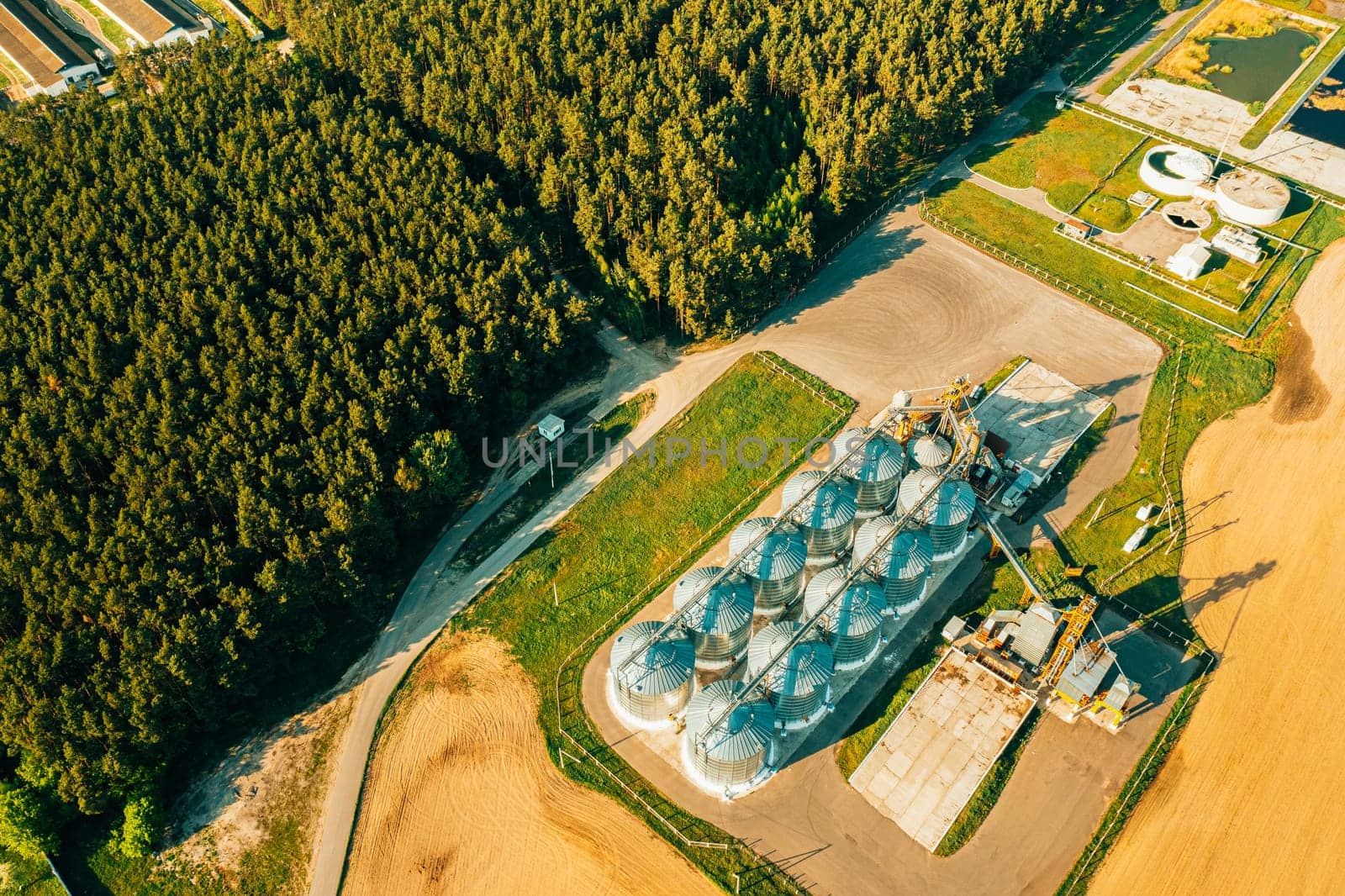 Aerial View Modern Granary, Grain-drying Complex, Commercial Grain Or Seed Silos In Sunny Spring Rural Landscape. Corn Dryer Silos, Inland Grain Terminal, Grain Elevators Standing In A Field.