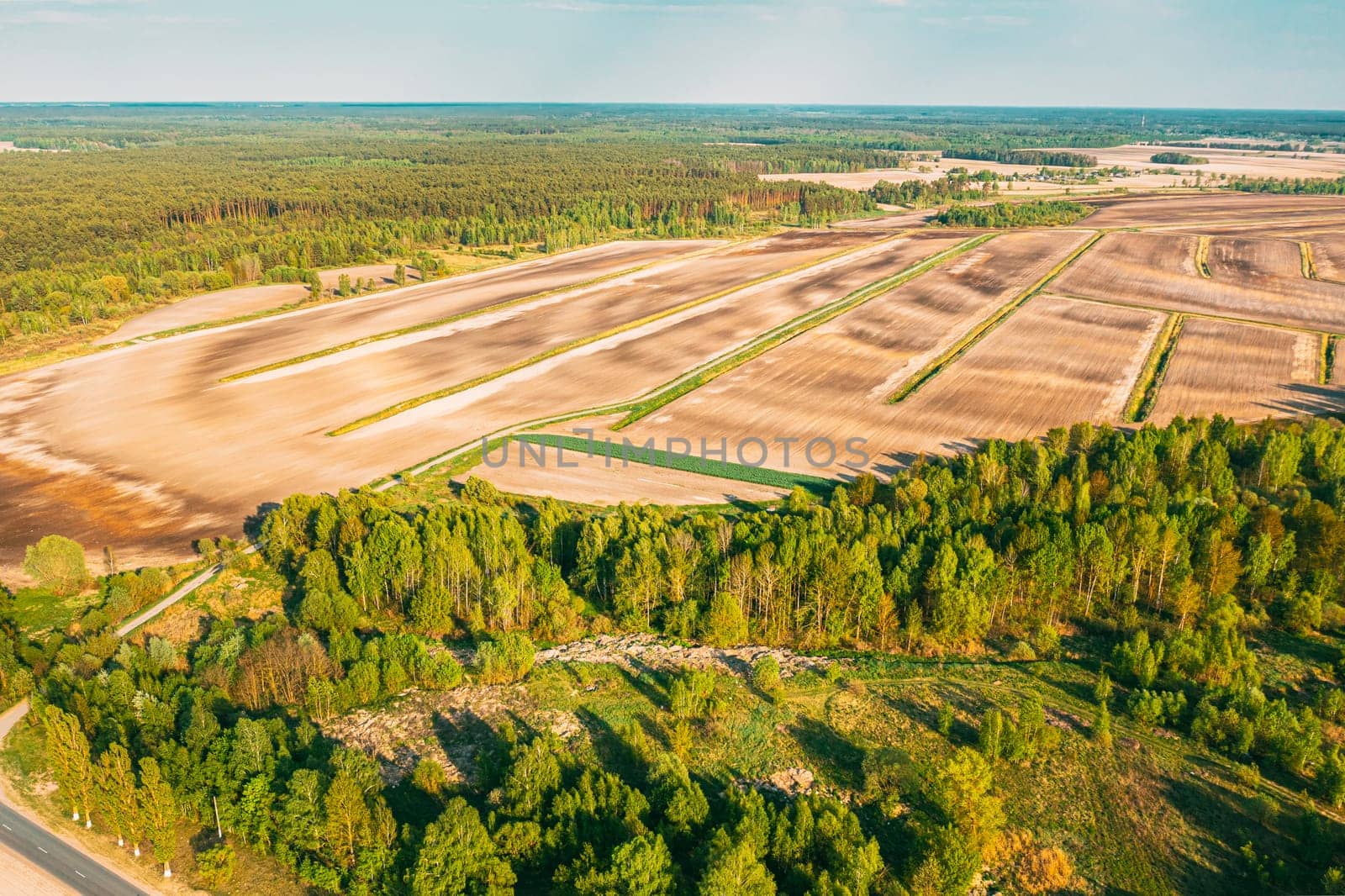 Aerial View Spring Empty Field With Windbreaks Landscape. Top View Of Field And Forest Belt. Drone View Bird's Eye View. A Windbreak Or Shelterbelt Is A Planting Usually To Protect Soil From Erosion