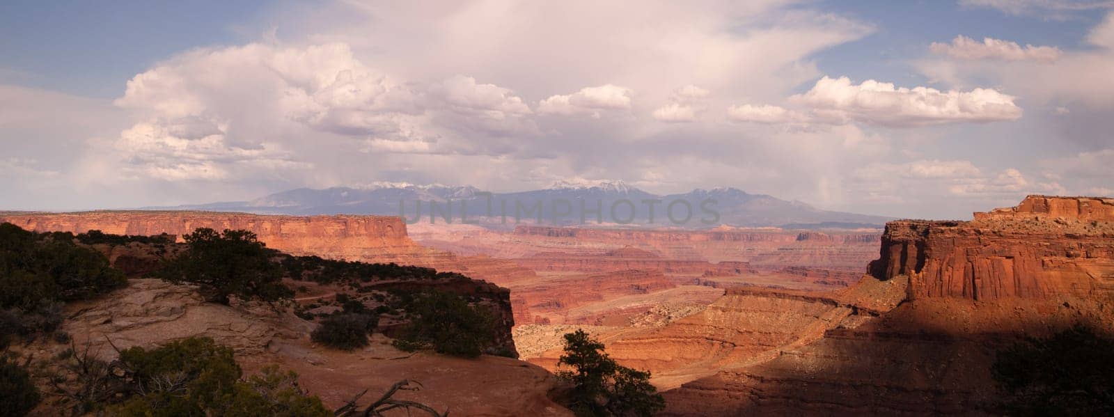 The Colorado River has cut out a massive canyon below and island in the sky