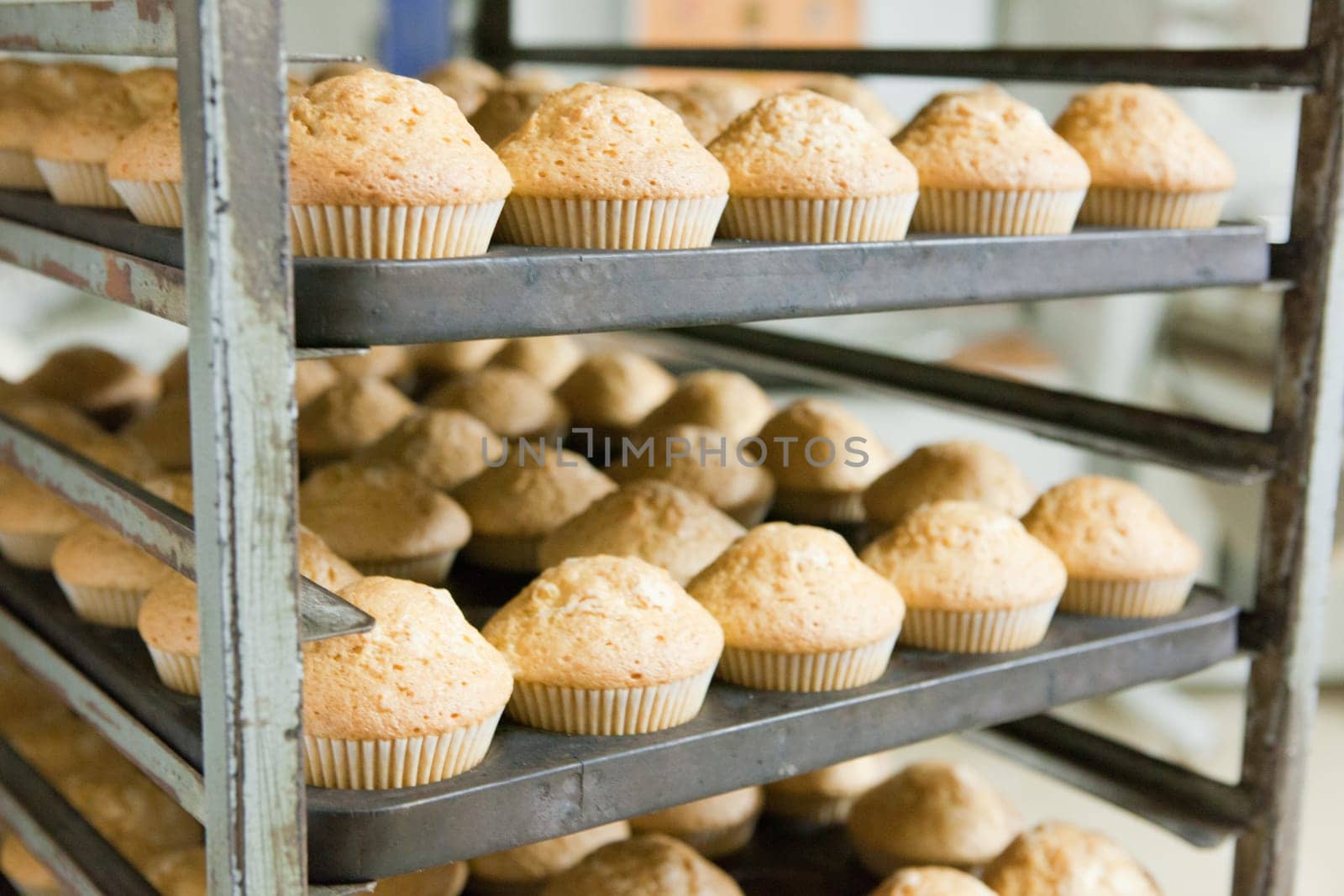 Shelves for trays with product just baked. Handmade manufacturing process of spanish madeleines