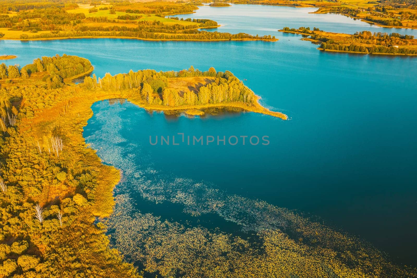 Braslaw District, Vitebsk Voblast, Belarus. Aerial View Of Ikazn Lake, Green Forest Landscape. Top View Of Beautiful European Nature From High Attitude. Bird's Eye View. Famous Lakes.