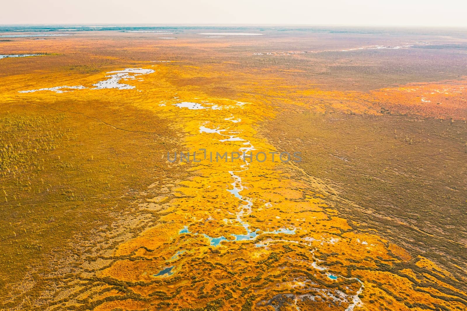Miory District, Vitebsk Region, Belarus. The Yelnya Swamp. Upland And Transitional Bogs With Numerous Lakes. Elevated Aerial View Of Yelnya Nature Reserve Landscape. Famous Natural Landmark.