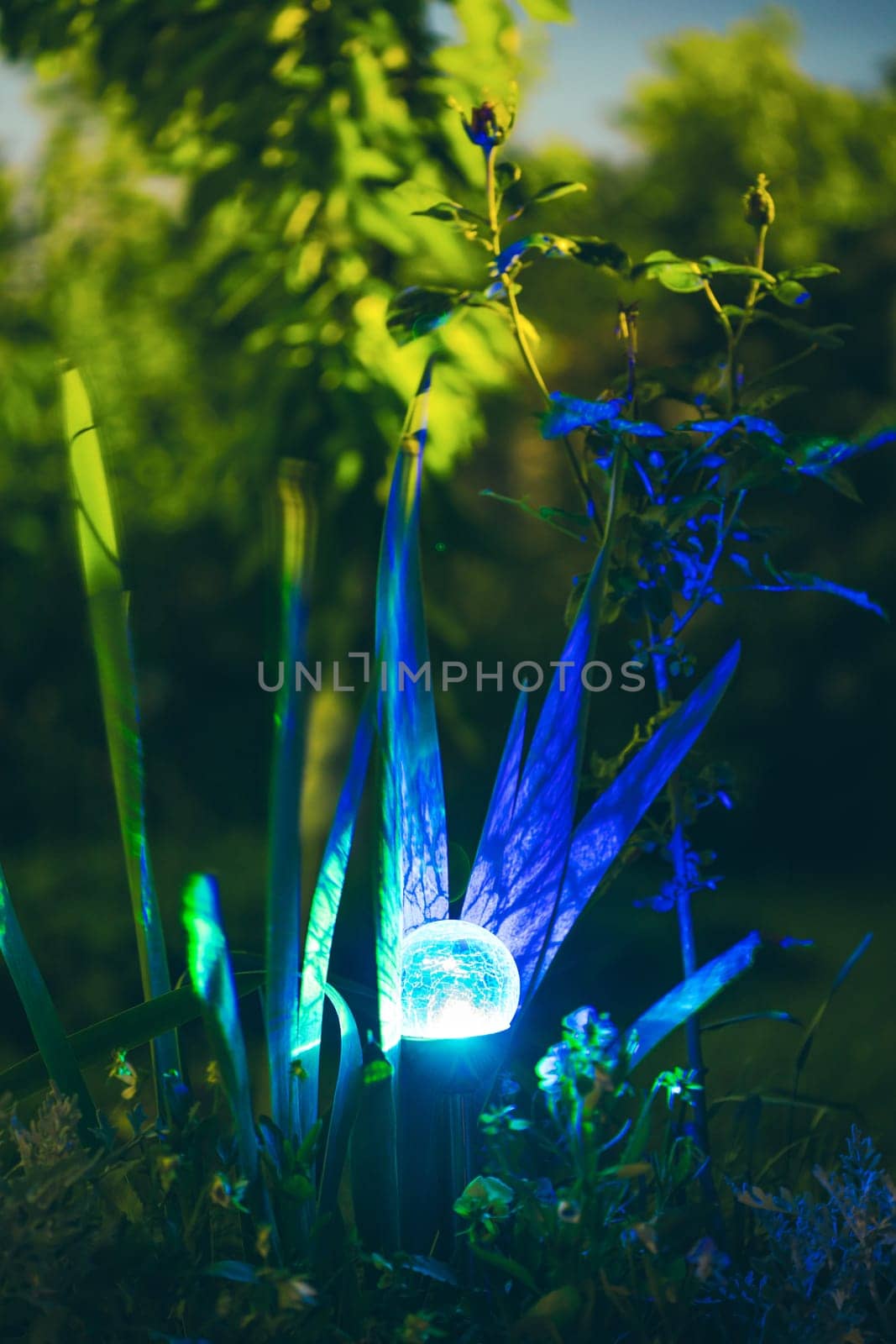 Night View Of Flowerbed Illuminated By Energy-Saving Solar Powered Colorful Multi-colored Lantern On Yard. Beautiful Small Garden With Blue Light, Lamp In Flower Bed. Garden Design.