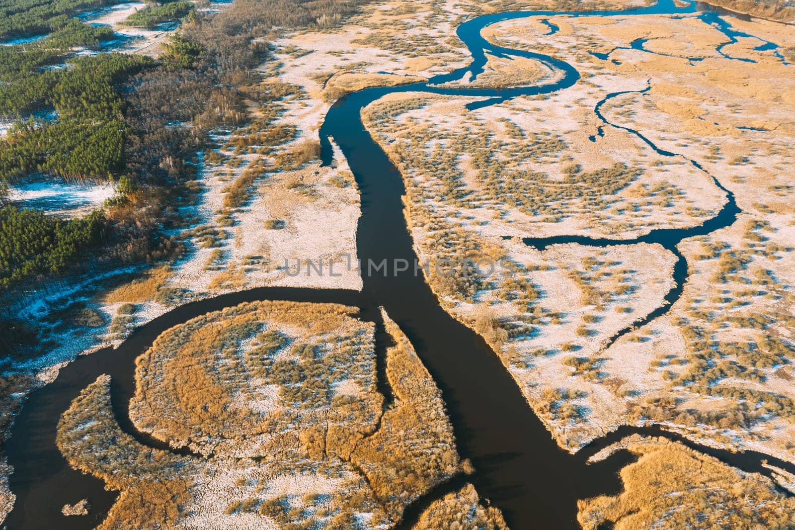 Belarus. Aerial View Of Dry Grass And Curved River Landscape In Early Spring Day. High Attitude View. Marsh Bog. Drone View. Bird's Eye View.