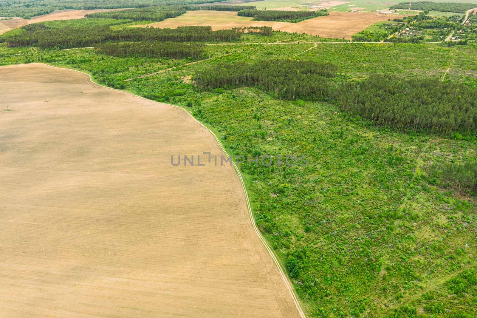 Aerial View Of Field And Deforestation Area Zone Landscape. Top View Of Field And Green Pine Forest Landscape. Large-scale Industrial Deforestation To Expand Agricultural Fields.