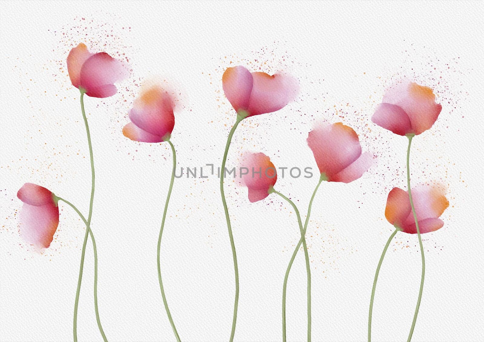 Poppies watercolor painting with splashes on white with watercolor texture
