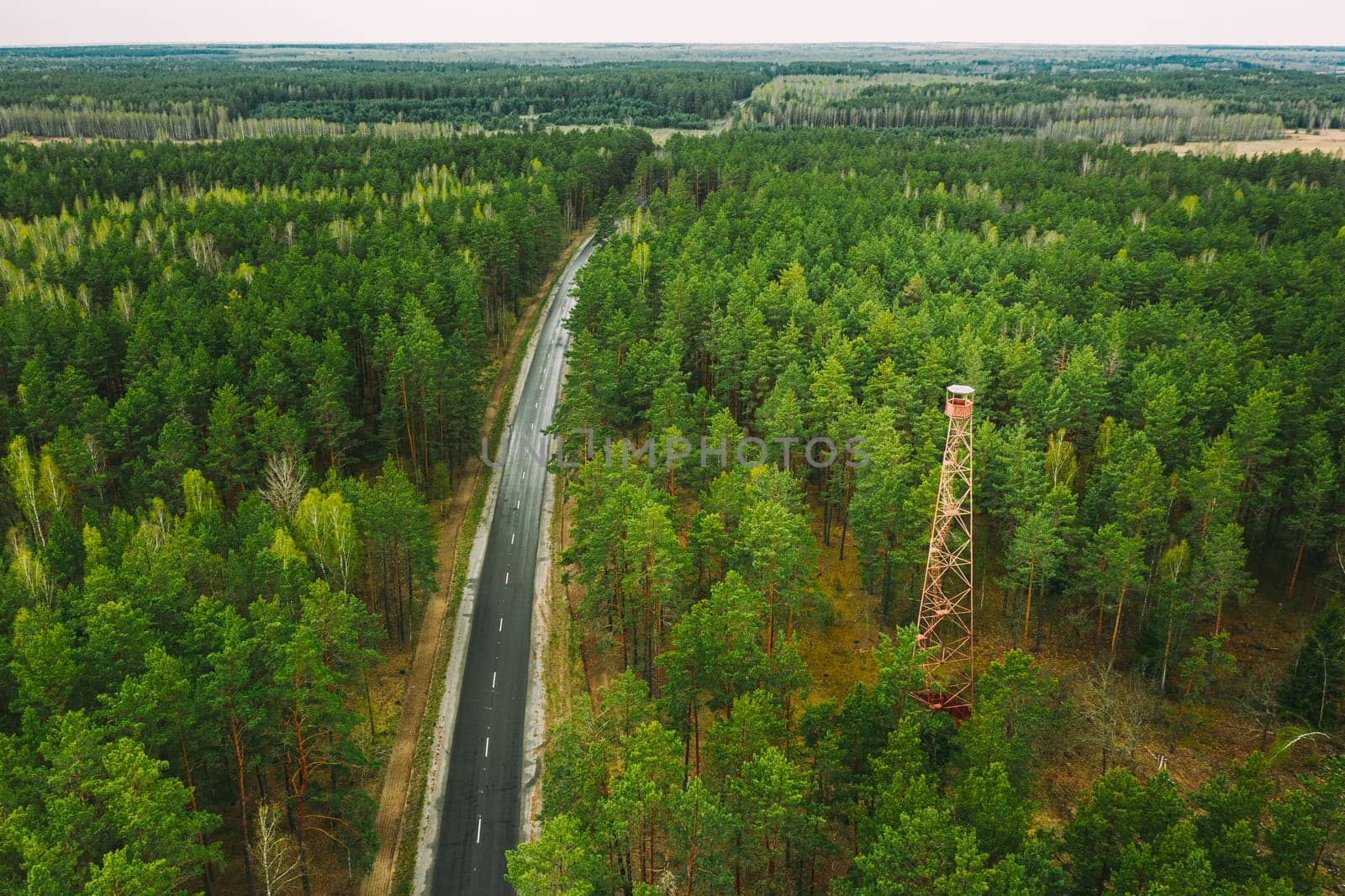 Aerial View Of Road Through Spring Forest Landscape. Top View Of Fire Lookout Tower.