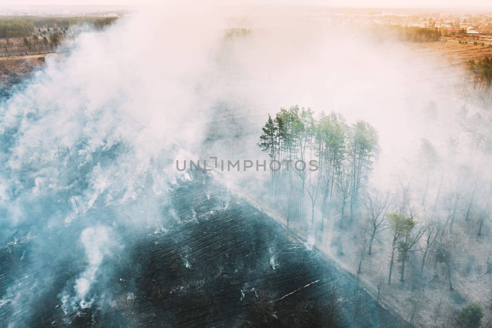 Aerial View. Spring Dry Grass Burns During Drought Hot Weather. Bush Fire And Smoke In Deforestation Zone. Wild Open Fire Destroys Grass. Nature In Danger. Ecological Problem Air Pollution.