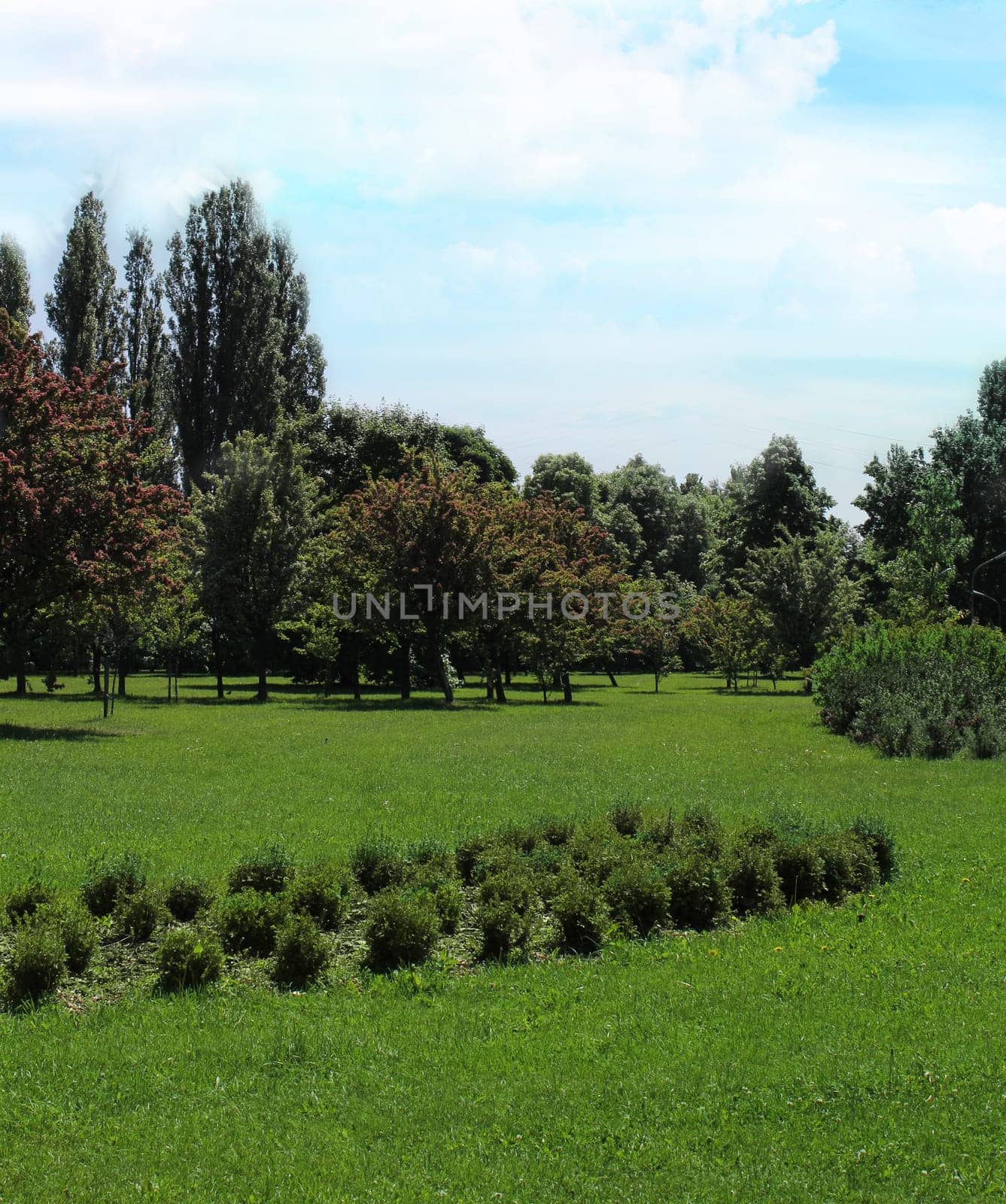 Park in spring time