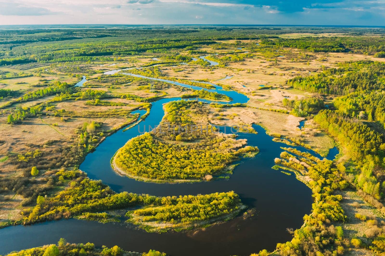 Aerial View Green Forest Woods And River Landscape In Sunny Spring Summer Day. Top View Of Beautiful European Nature From High Attitude In Autumn Season. Drone View. Bird's Eye View.