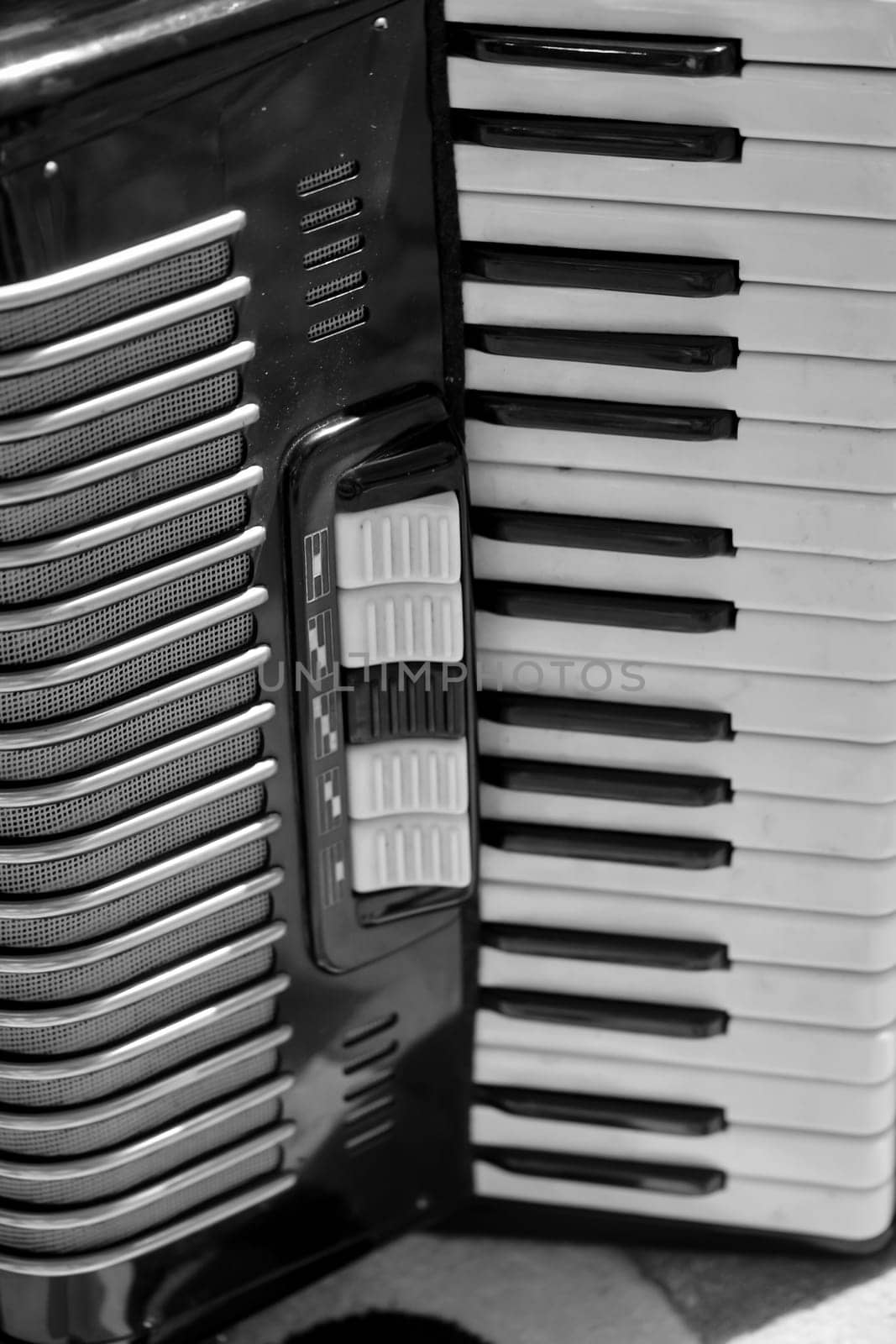 Detail view of a chordium, a squeezebox.