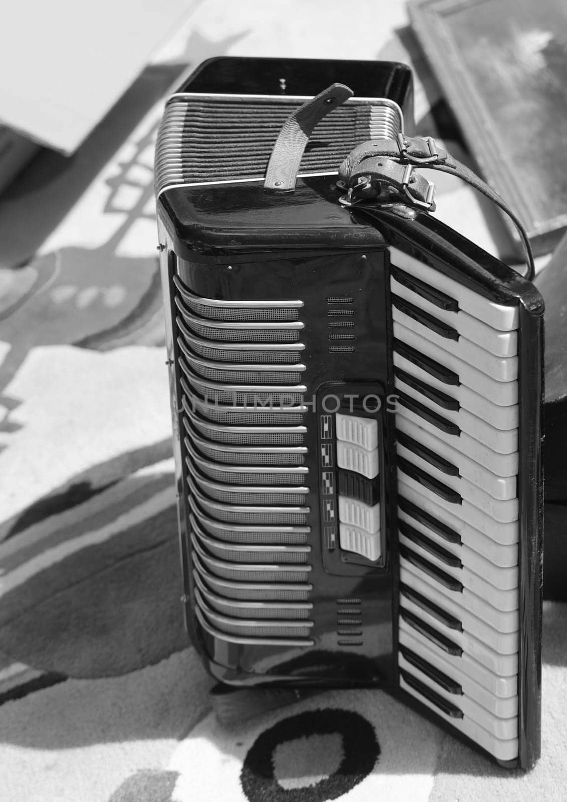 Detail view of a chordium, a squeezebox.