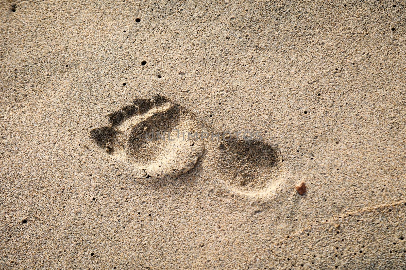 The footprint of a person in the wet sand on the beach.