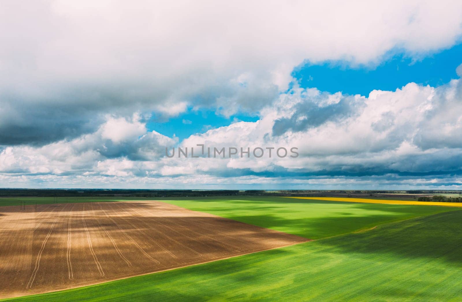 Countryside Rural Green Field Landscape With Young Wheat Field And Empty Ground In Spring Day. Agricultural Field. Aerial View.