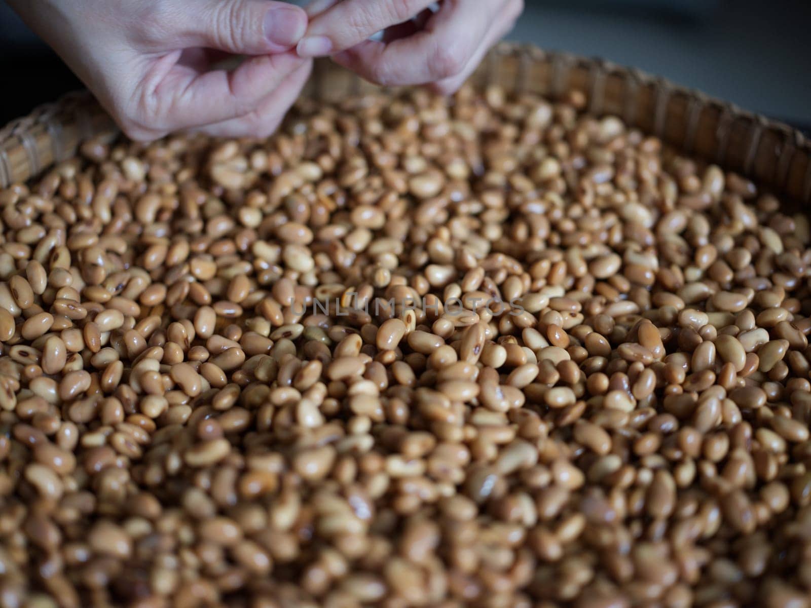 Close-up photo the texture of soy bean for HOW to Soy Product: Raw Homemade Tempeh . Concept of Healthy Vegetarian Food