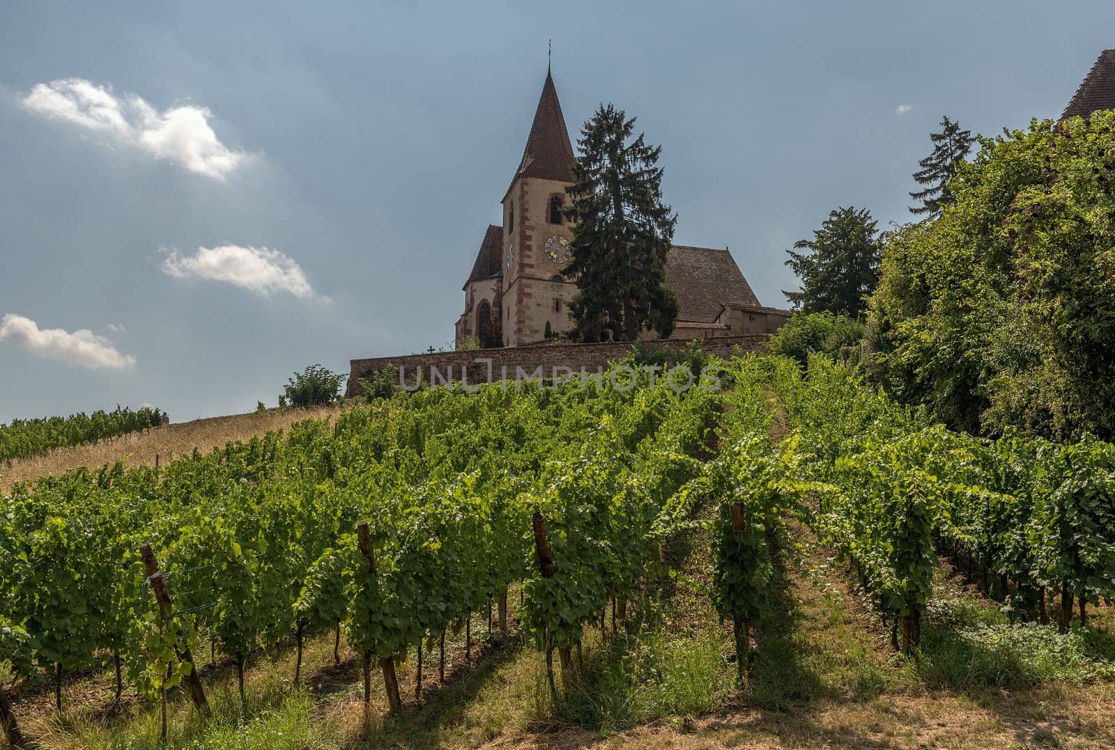 Saint-Jacques-le-Majeur church in Hunawihr, Alsace, France