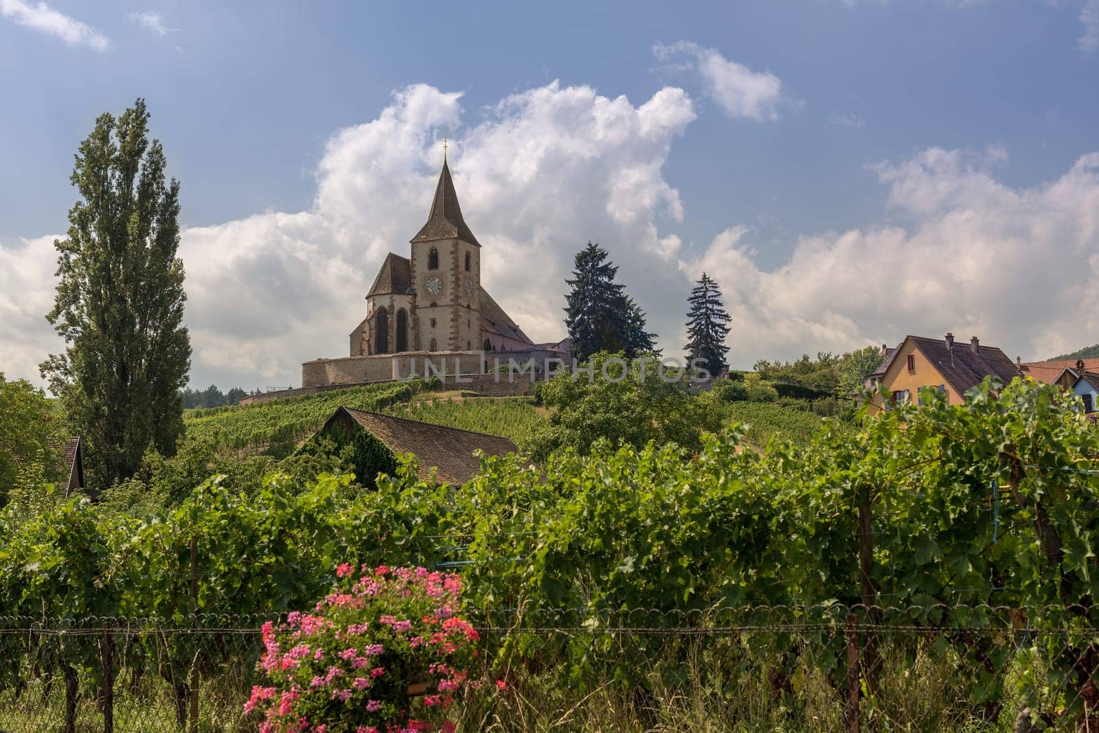 Saint-Jacques-le-Majeur church in Hunawihr, Alsace, France