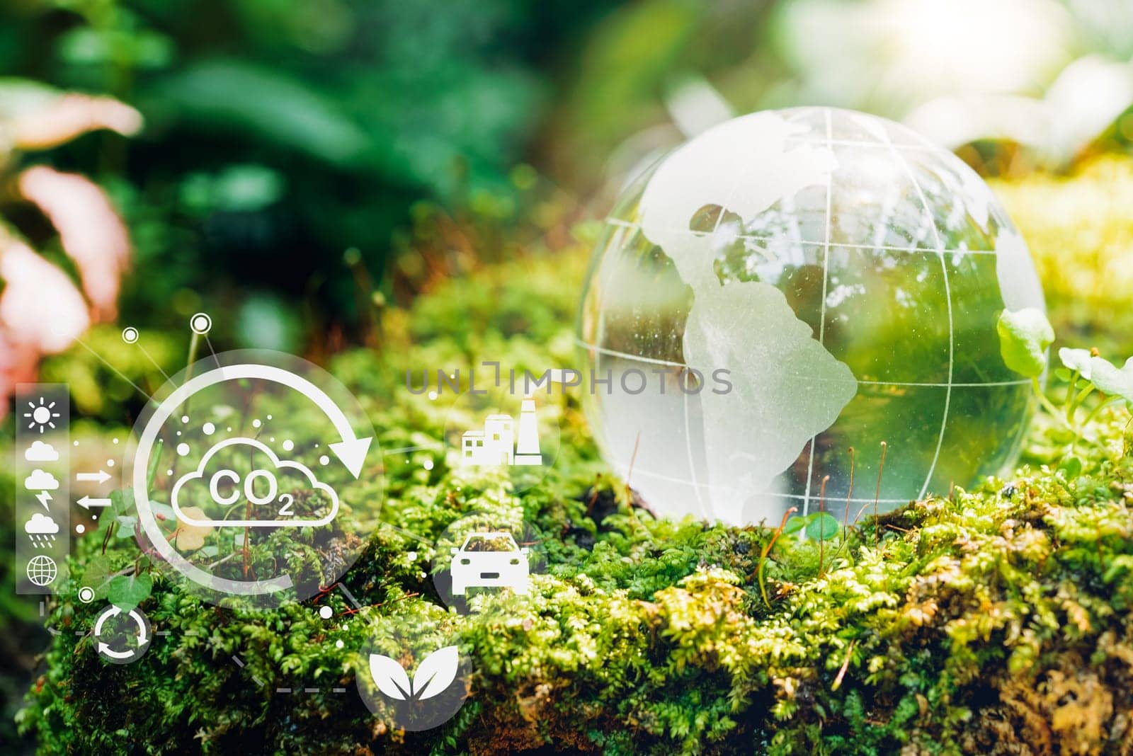Eco green energy sources for renewable. Glass globe in the in nature forest with environment Icons, ecology and energy saving collaboration, Environment earth day