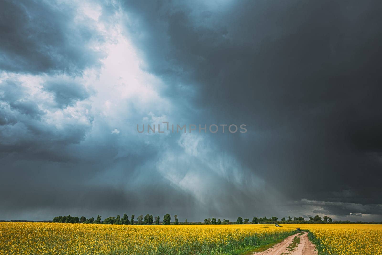 Dramatic Rain Sky With Rain Clouds On Horizon Above Rural Landscape Camola Colza Rapeseed Field. Country Road. Agricultural And Weather Forecast Concept.