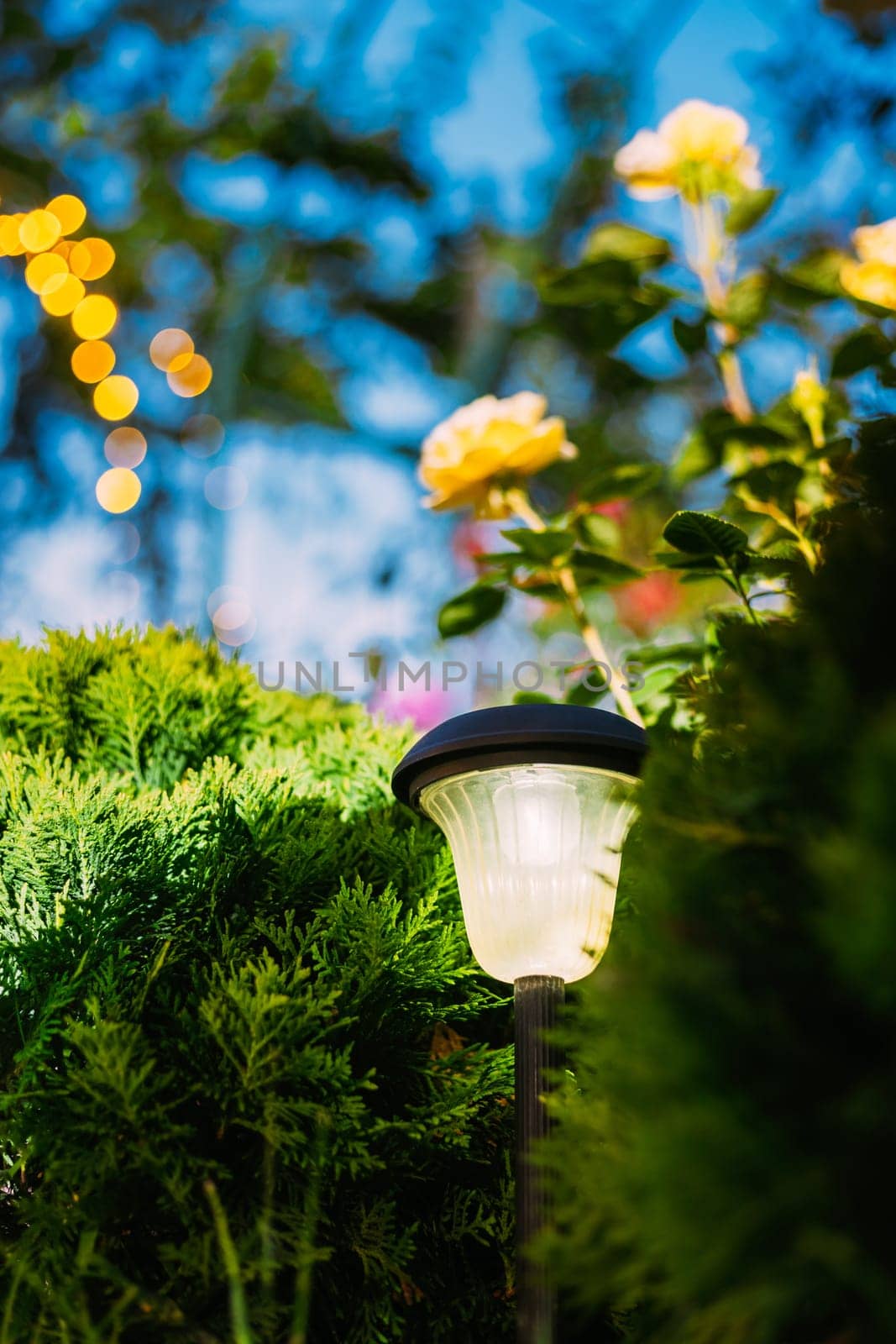 Night View Of Flowerbed Illuminated By Energy-Saving Solar Powered Lantern On Courtyard. Beautiful Small Garden Light, Lamp In Flower Bed. Garden Design.