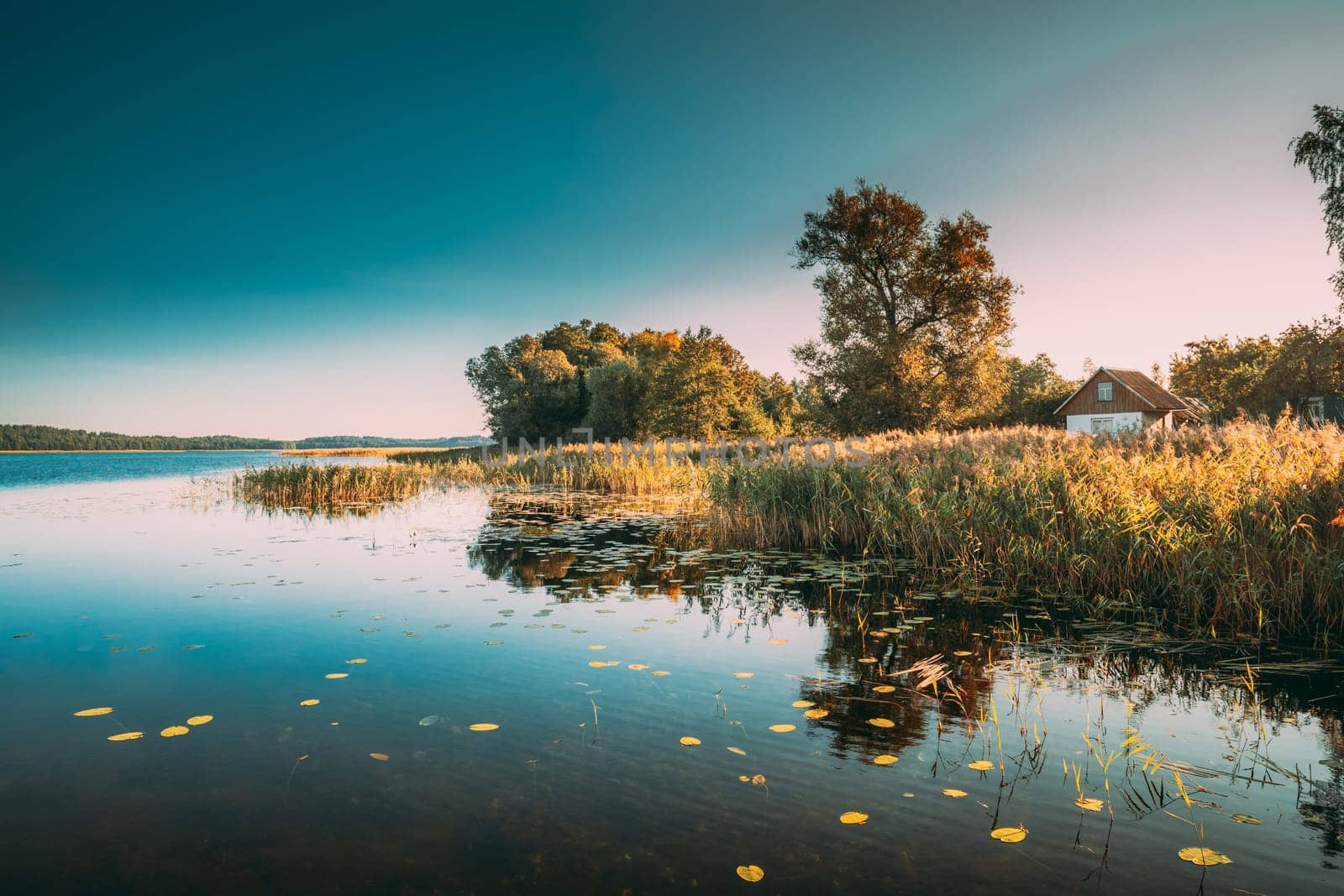 Summer Nature. Lake Or River In Beautiful Summer Sunny Day. Grass Growing On Coast. Sunny Day, Landscape With Lake And Old Small House On River Coast.