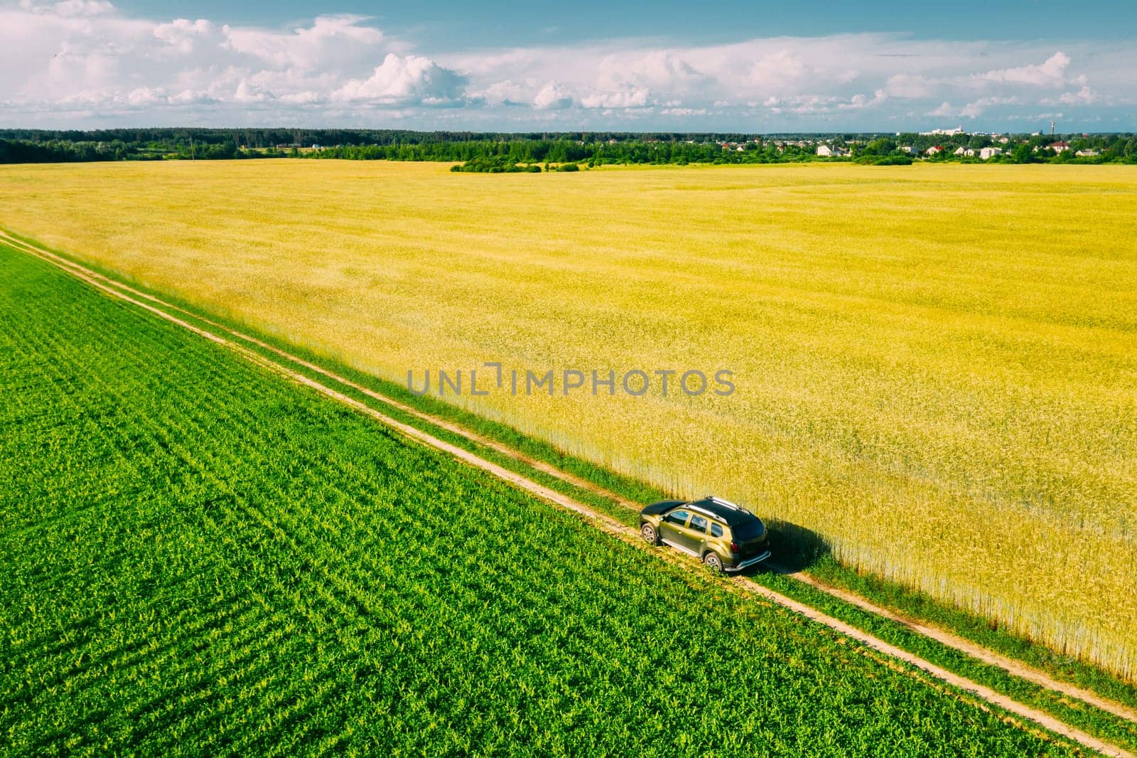 Aerial View Of Car SUV Parked Near Countryside Road In Spring Field Rural Landscape. Car Between Young Wheat And Corn Maize Plantation.