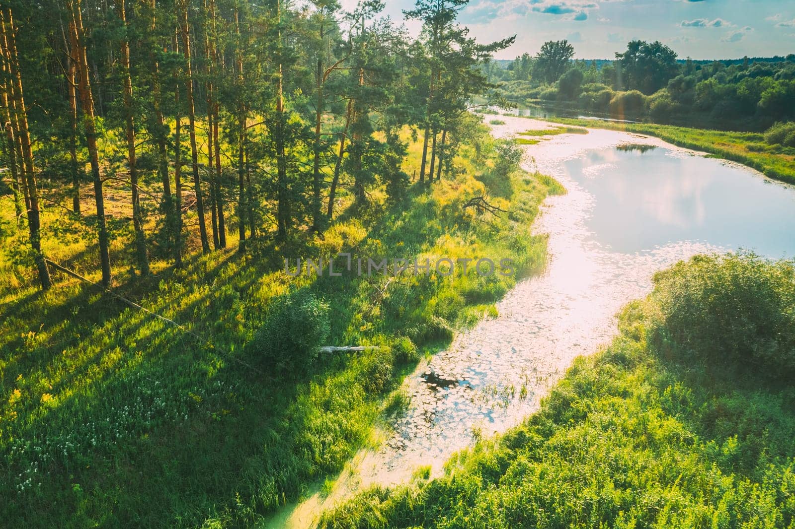 Belarus. Elevated View Of Green Small Bog Marsh Swamp Wetland And Green Pine Forest Landscape In Sunny Summer Day. High Attitude View. Forest Lane In Bird's Eye View.