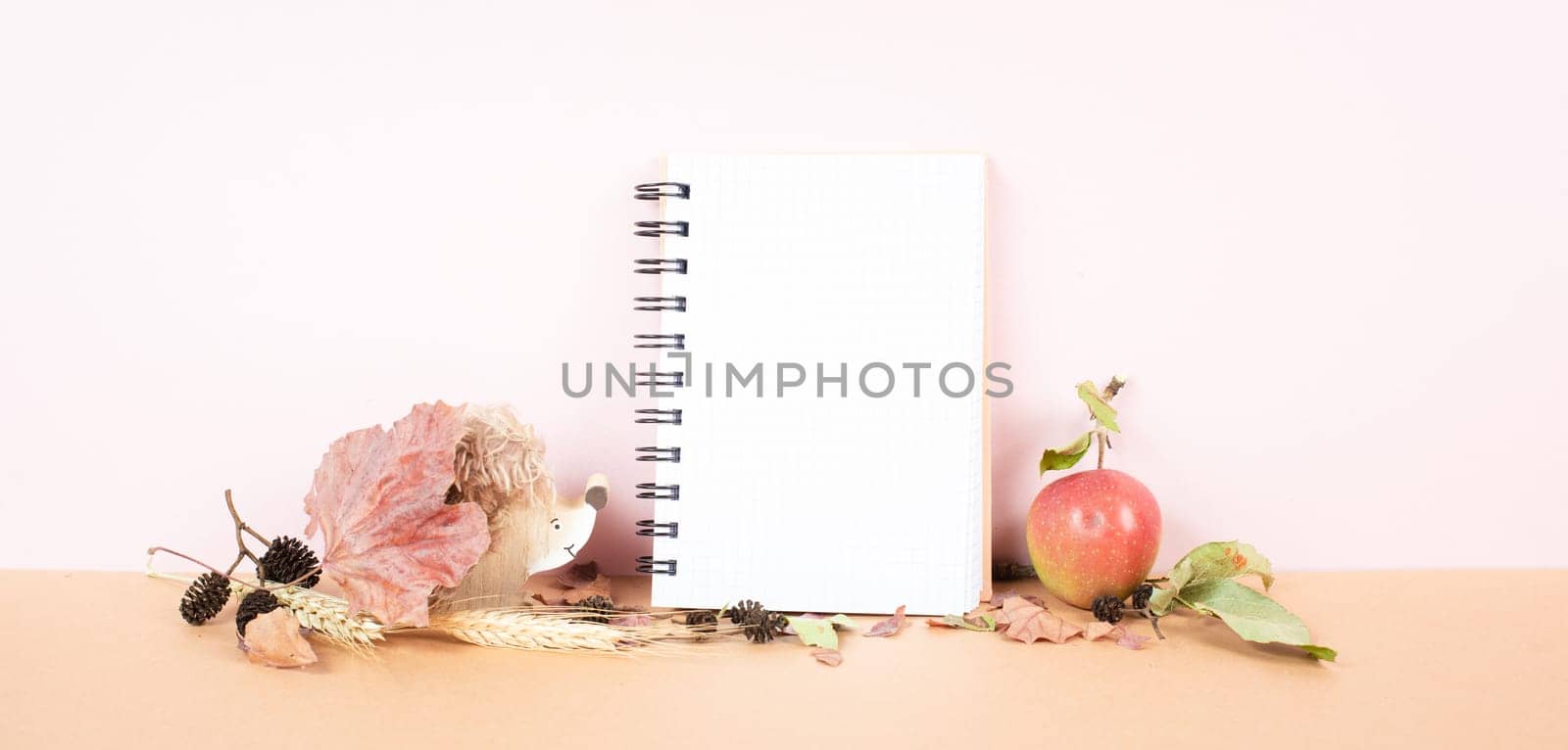 Blank notebook with an apple and a hedgehog, fall season background with colored leaves, office desk, pastel colors