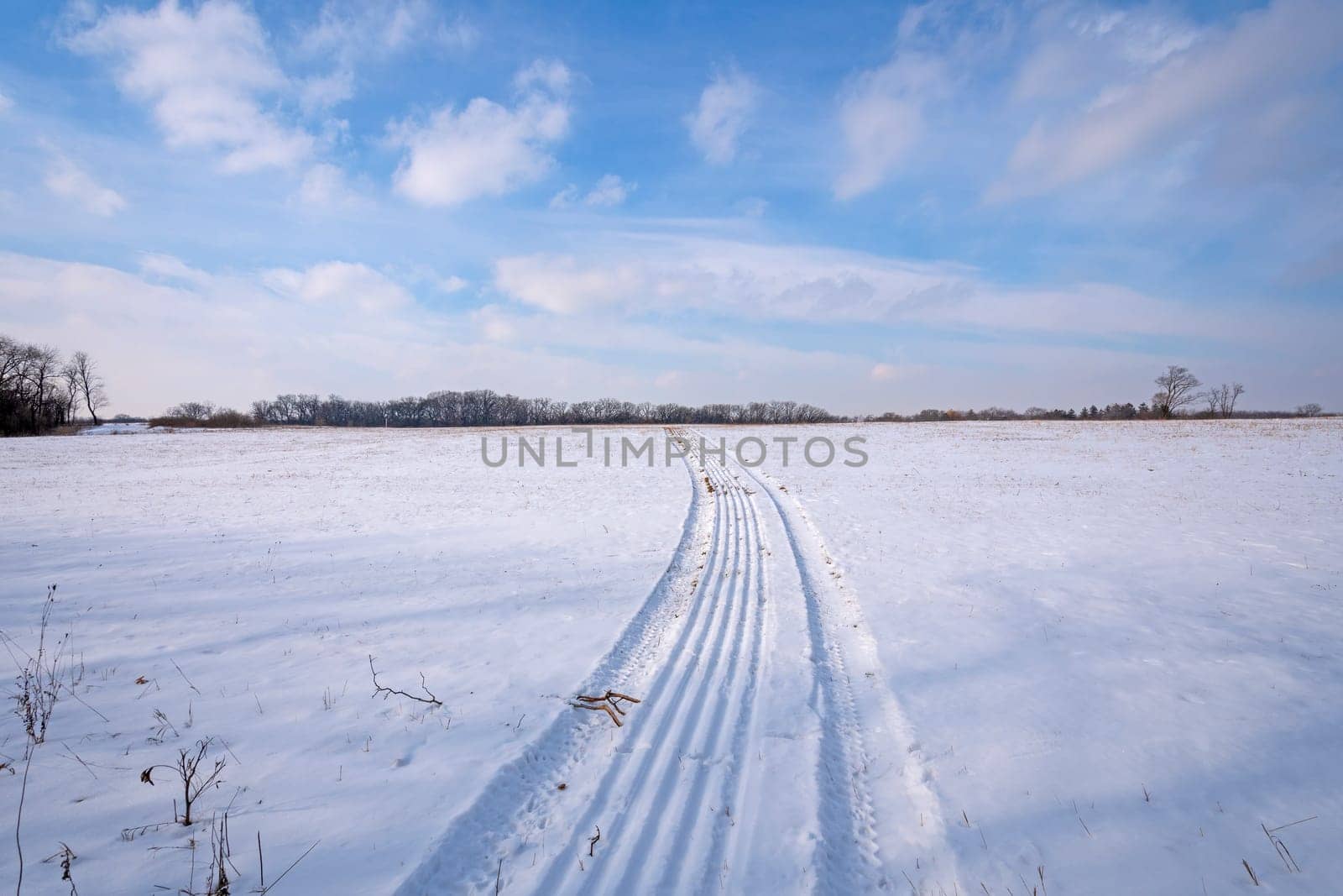 Tracks Into a Snowy Field in Moraine Hills State Park in Illinois