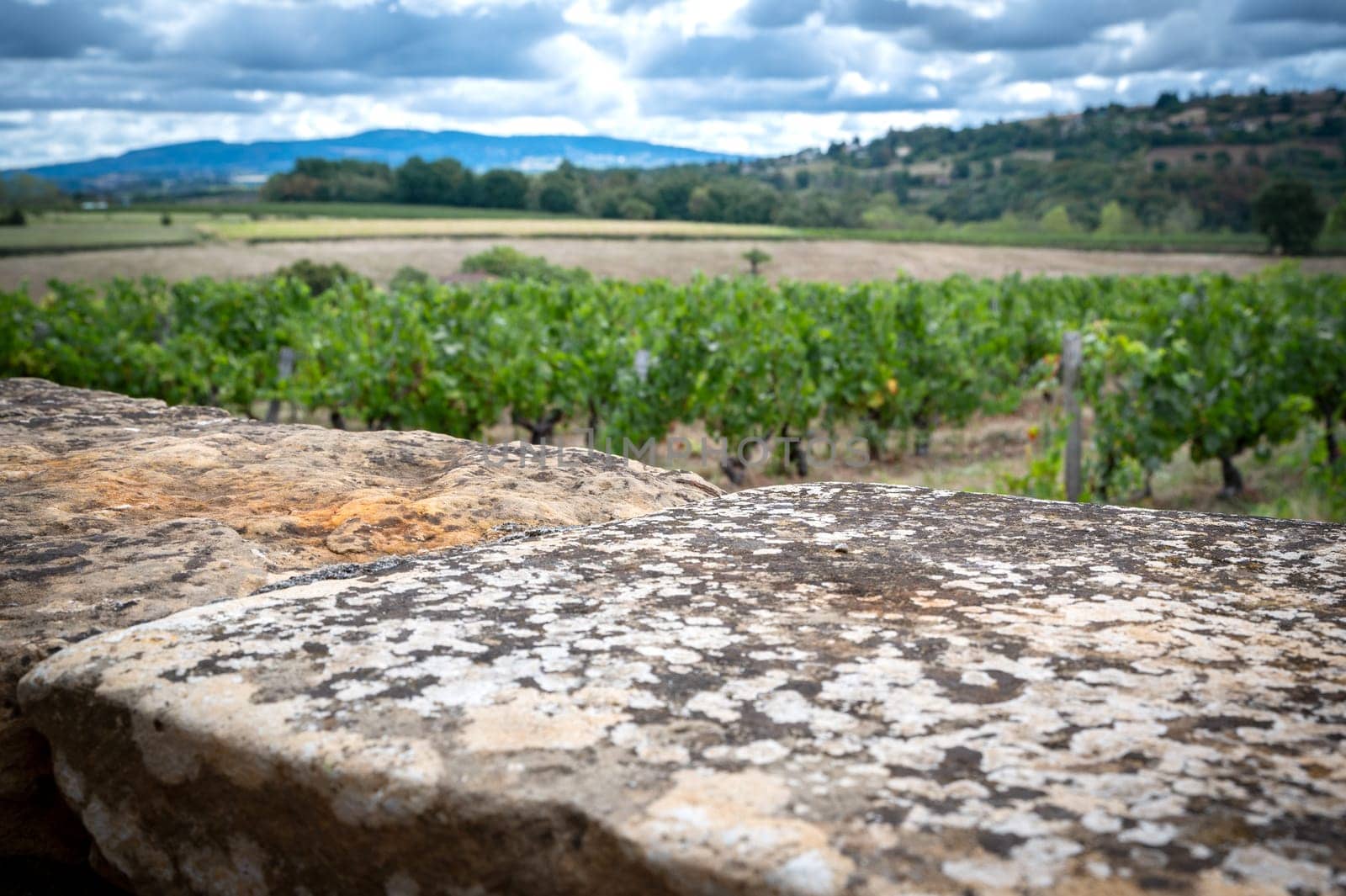 Beautiful landscape with an old stone wall for layers