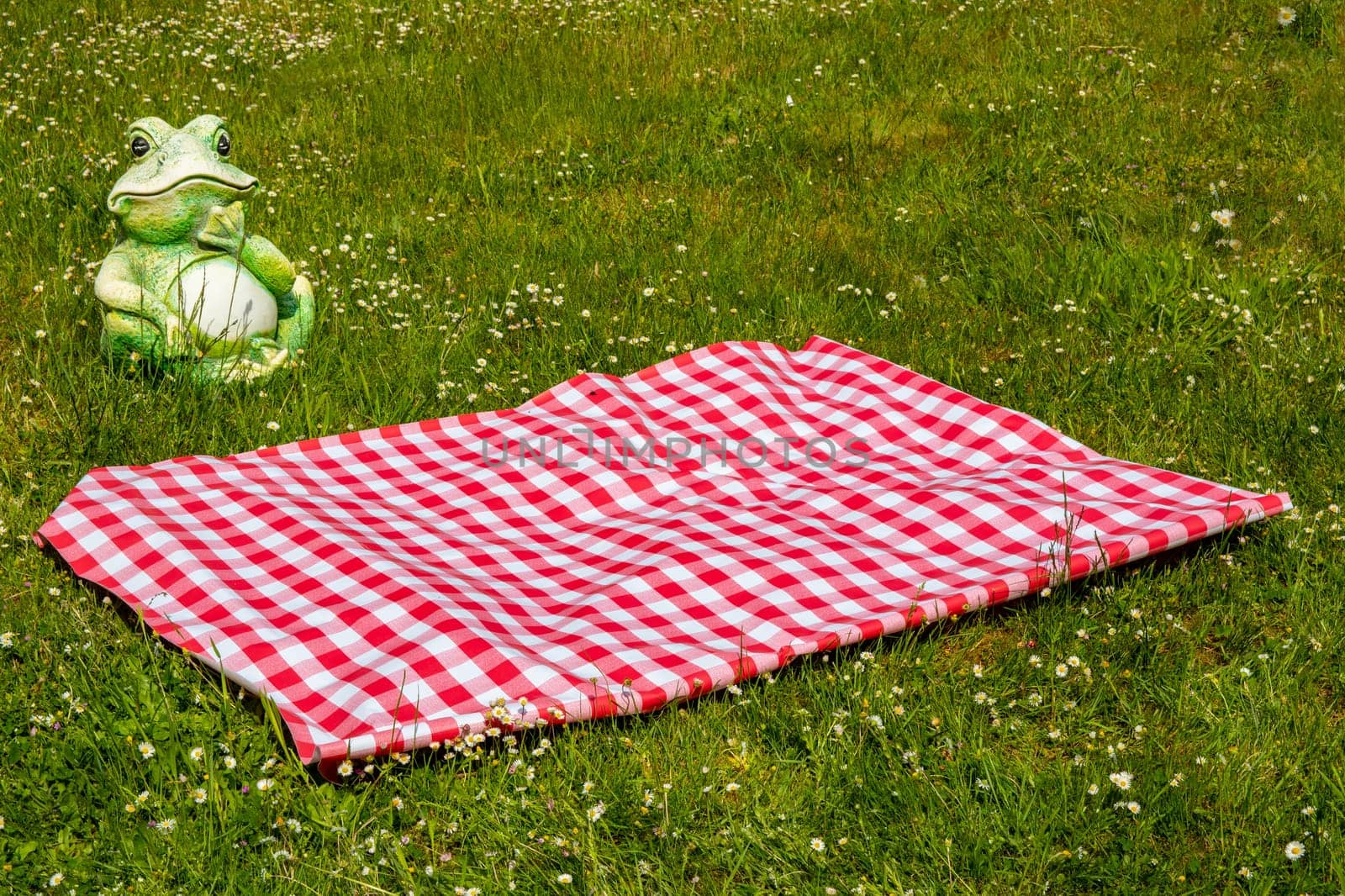 Red picnic blanket. Red checkered picnic cloth on a flowering meadow with daisy flowers. Beautiful backdrop for your product placement or montage. Frog in background.