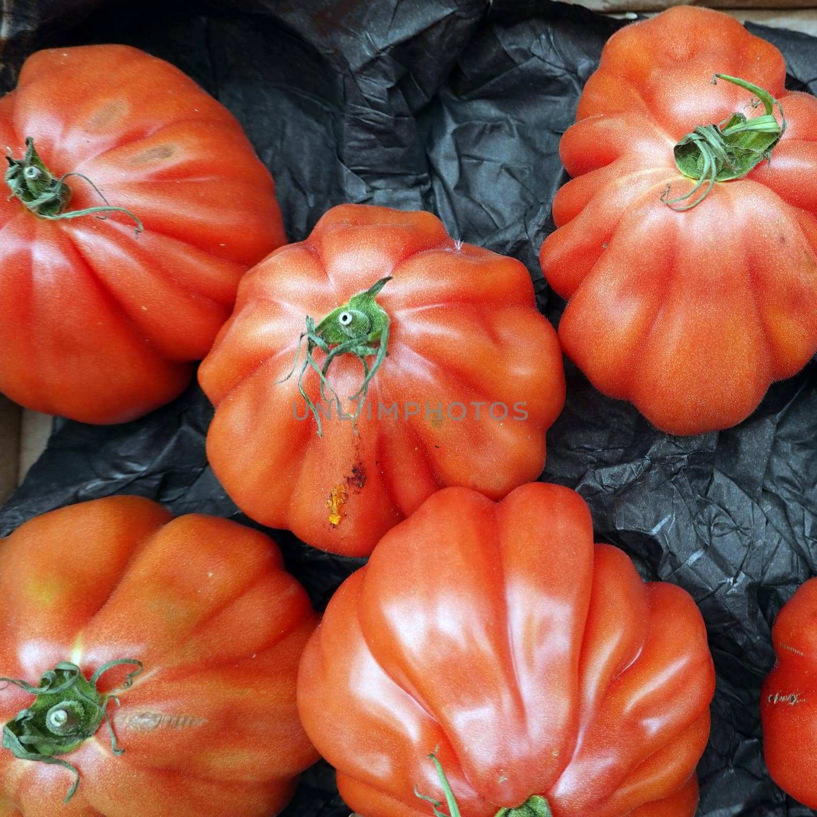 Tomaten (Solanum lycopersicum) im Gemüsegeschäft