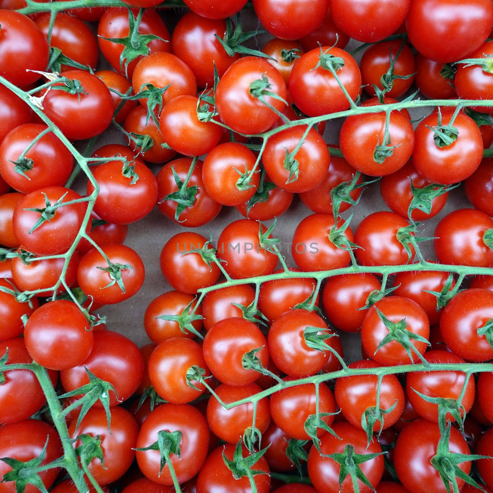 Tomaten (Solanum lycopersicum) im Gemüsegeschäft