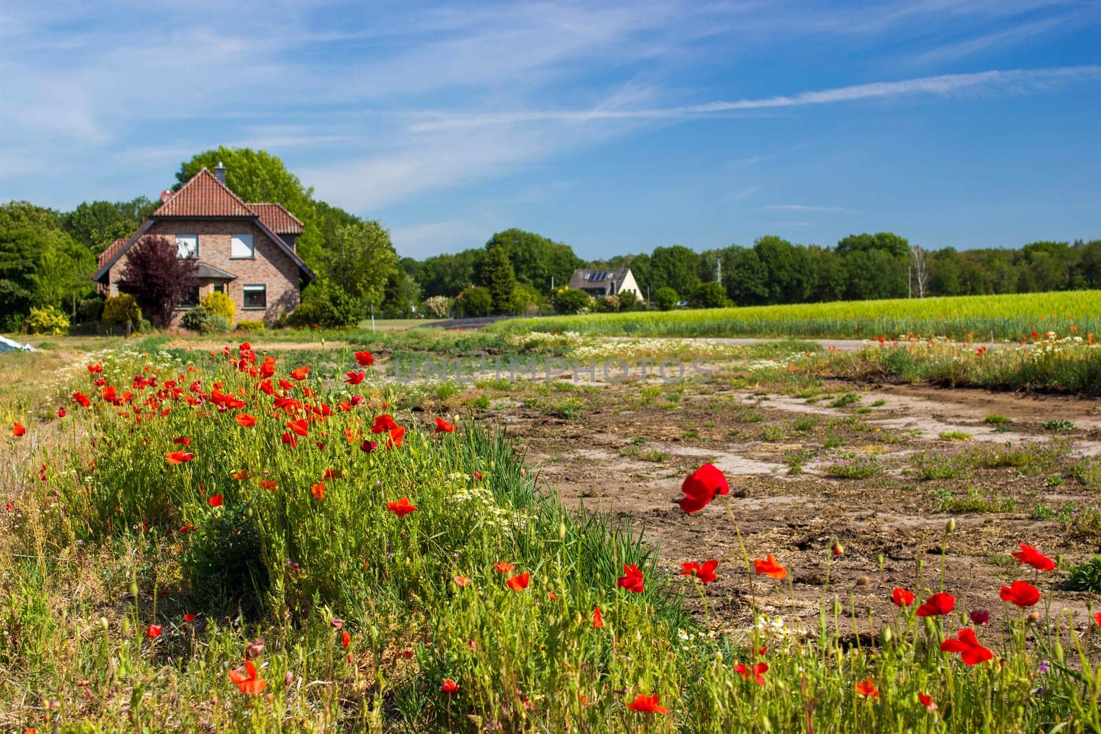 German countryside landscape, Lower Rhine Region